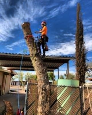 Trust me, our tree trimming services are much higher quality than our photography service