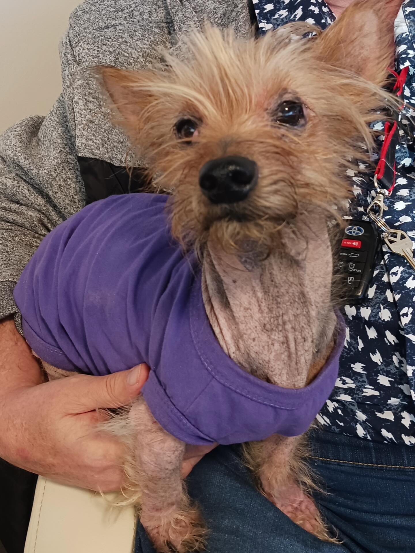 Ace keeping a paws-itive attitude while he waits for his doctor! 🐾🦴😍 #naturalhealingpetcare #holisticvet #cutedogs #veterinarymedicine