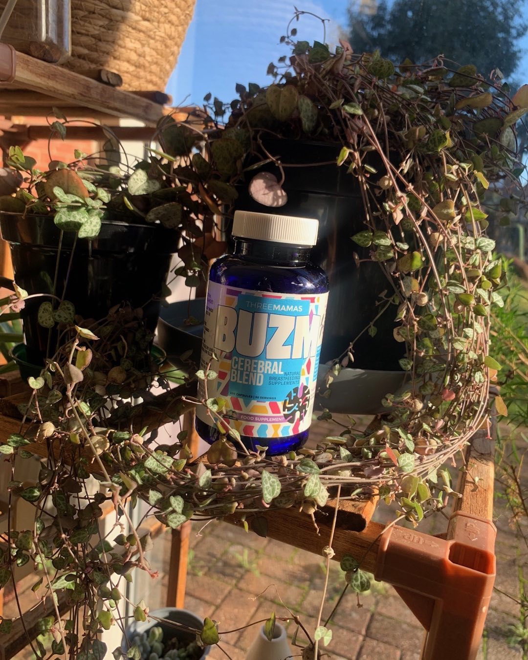 "BUZM has made breastfeeding so much more enjoyable for me. The soothing herbs have helped alleviate any discomfort and promote a healthy lactation experience." #breastfeeding #organicbabies