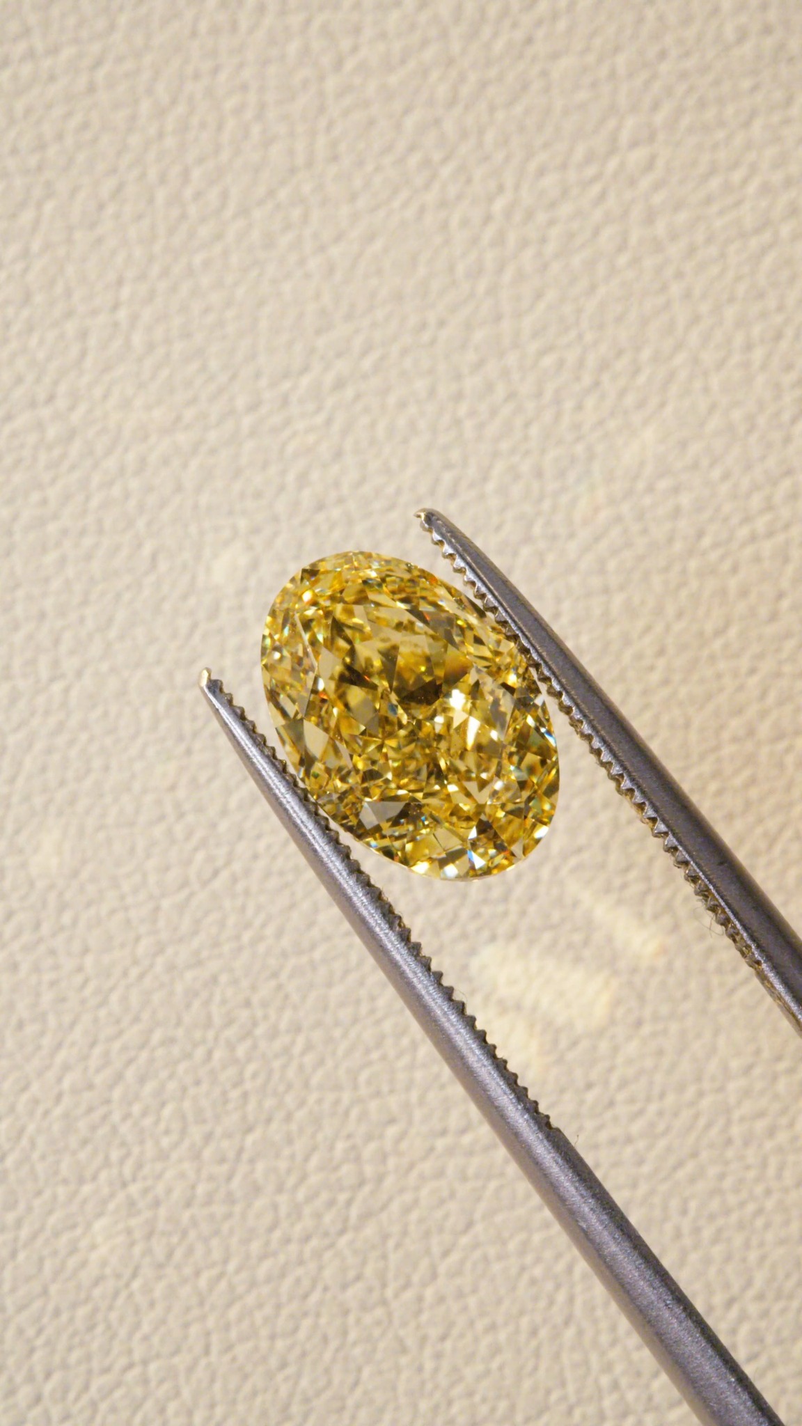 We're head over heels for these gorgeous colors! ๐