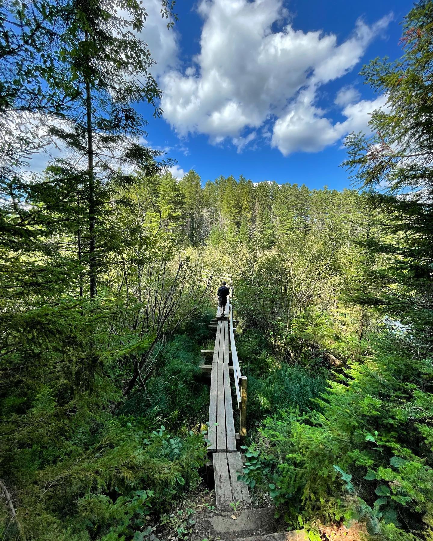 Where does your intuition lead you?
.
Come into nature and rejuvenate your heart rate variability 💚Next Sunday with us on Big Crow and the Nun-Da-Go-O Range. If interested, please see the site for details!
#natureheals #foresttherapy #yogaandhiking