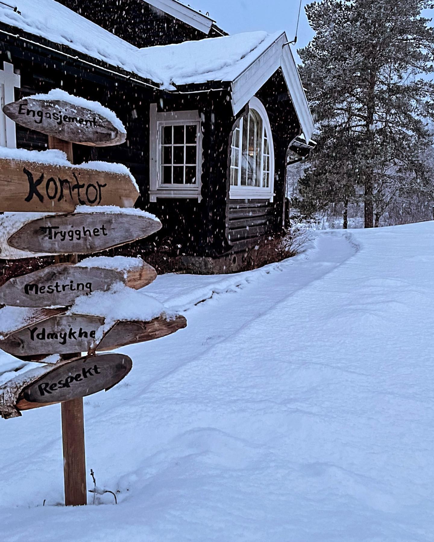 Engasjement,trygghet,mestring , ydmykhet og respekt gjenspeiler våre verdier ! 🌿❄️ #love #viveoomsorg #respect #care #stange #norway