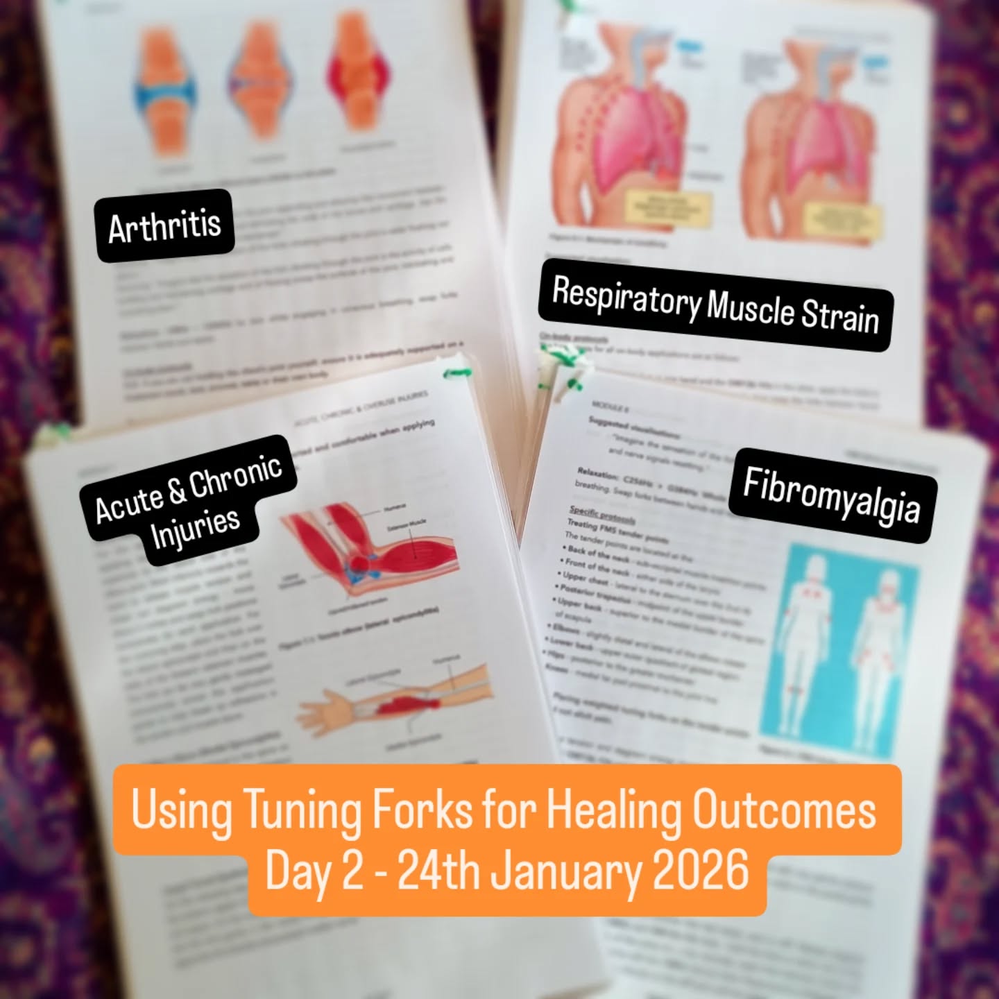 More laminating of course materials ready for Day 2 of Using Tuning Forks for Healing Outcomes.
Get in touch if you're interested in this course and I'll keep you updated about future dates.