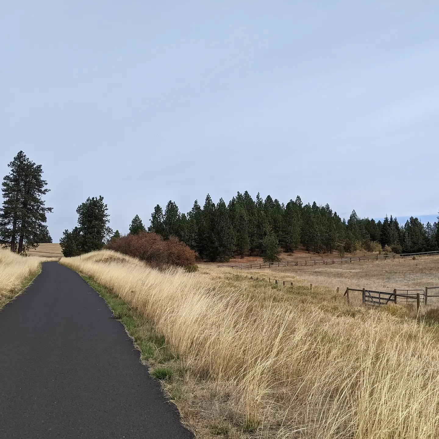 Fall on the Latah Trail ❤️