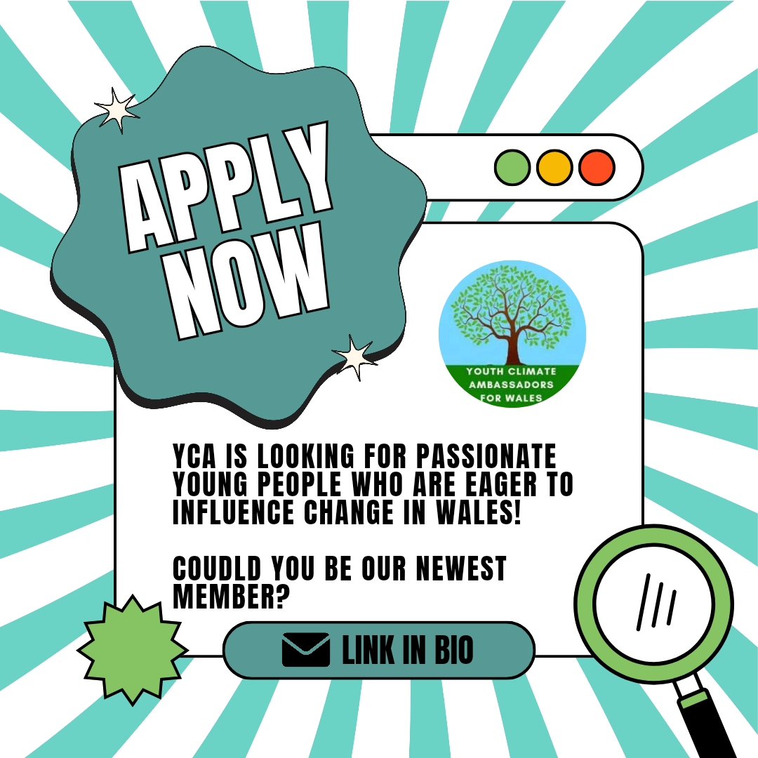 Join the youth climate activism movement today!✊️🌏
Apply to become a Youth Climate Ambassador for Wales or to be a part of our Consultation Group
🔗VIA THE LINK IN OUR BIO!
#climatechange #climateaction #youthactivism #ycawales