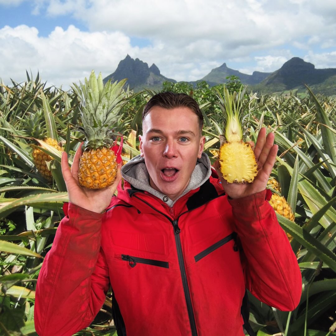 Weet jij welk land de grootste exporteur is van Ananas?๐ Schrijf het hier onder in de reacties! #pineapples