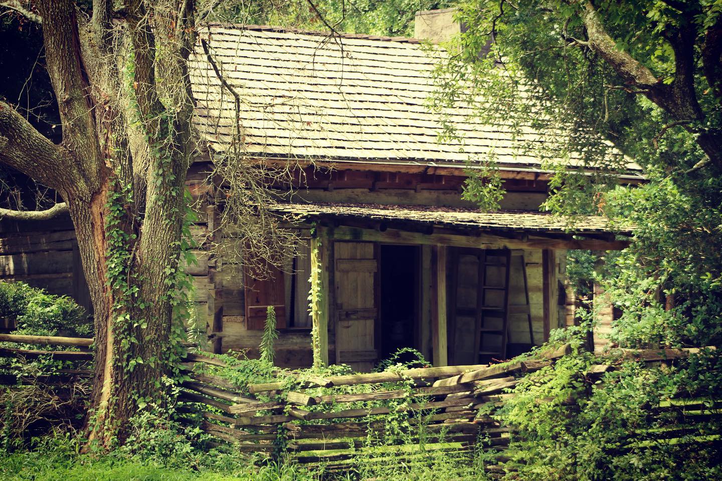 We live in a society where everything is expeditious. Our ancestors lived in simpler times - where they worked WITH time. Now, we try to make time work FOR us. Enjoy life, family and time.
#epiphanystudiosinc #epiphanystudiosbr #instadaily #instagood #instaphoto #photogram #capture #photographydaily #PhotographyIsLife #iphoneography #camera #composition #followme #followforfollowback #follow #photooftheday #picoftheday #lifestylephotography #architecturephotography #naturephotography #fashionphotography #portraitphotography #commercialphotography #streetphotography #fashionphotography #musicphotography #weddingphotography #fineartphotography #rural #rurallife