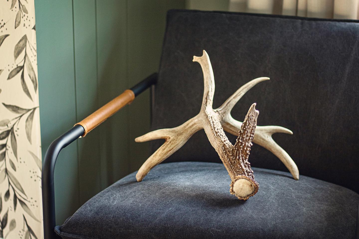 Non-typical deer shed I found back in February 👌🏼🦌
.
.
.
#shedhunting #buck #nontypicalshed #outdooradventures #deerantlers #interiordesign #interiordesigner #naturelover #accentchair #swevergreenfog #wallpaper #floralwallpaper #magnoliahome #amazonhome #interiorlovers #interiorstyle