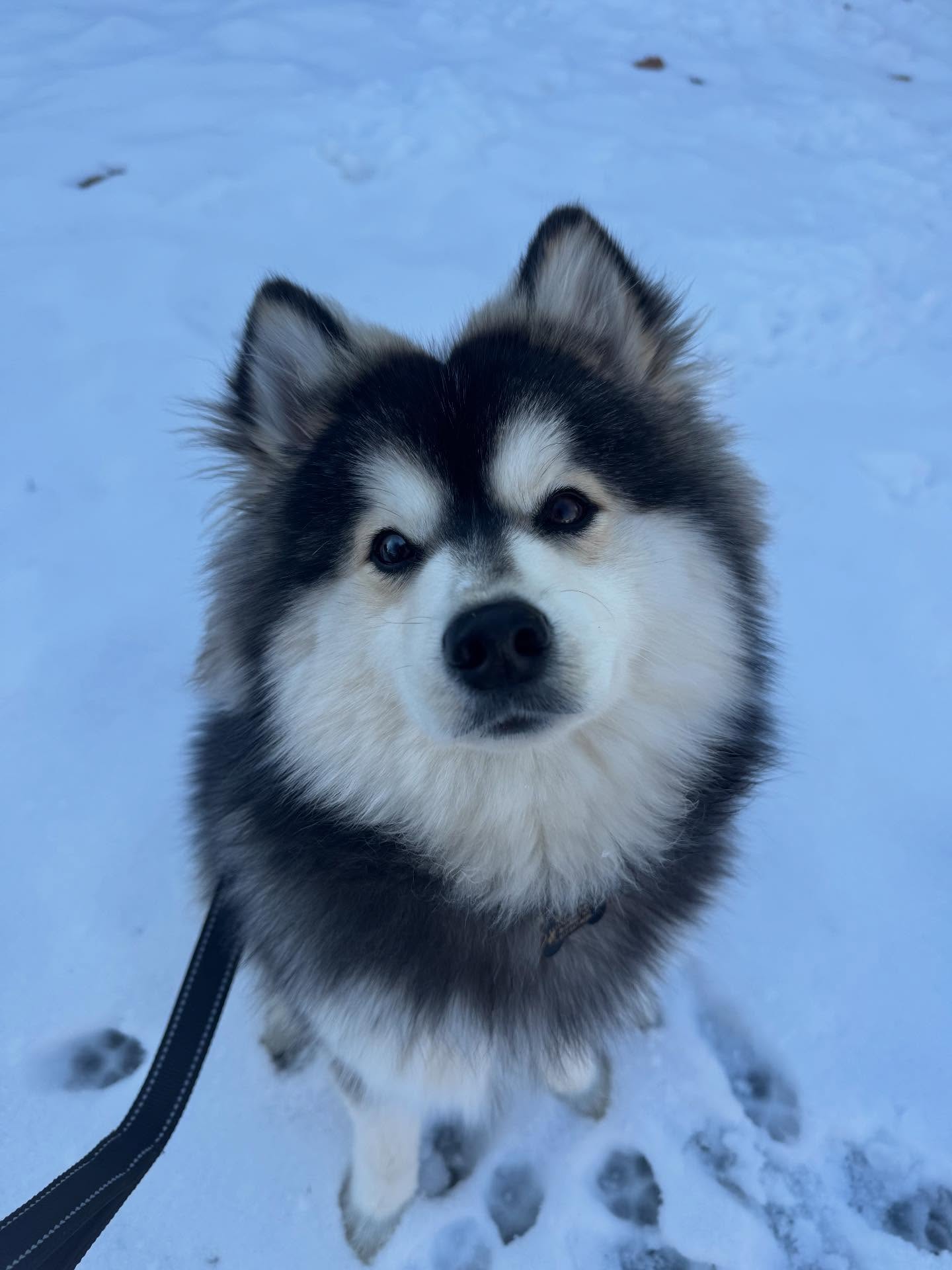 Mannings favorite weather! βοΈ
