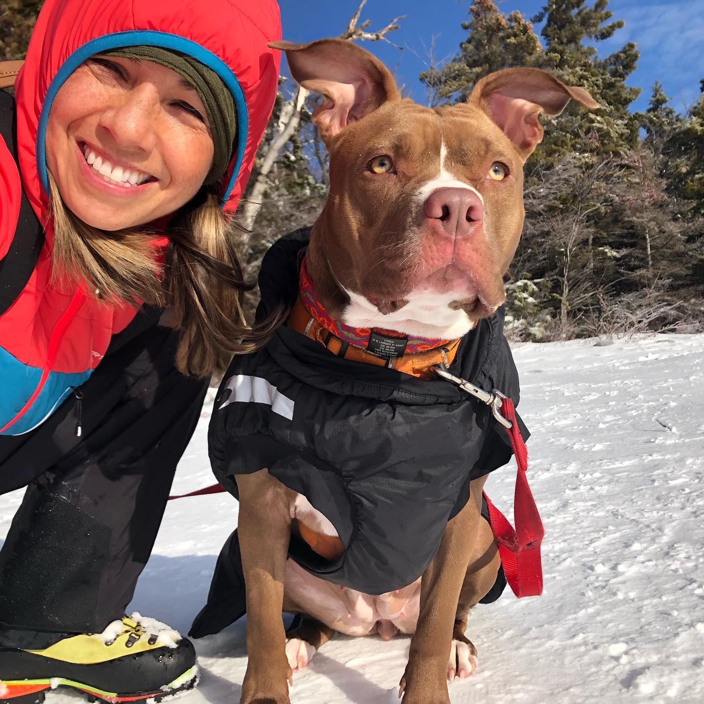 Happy New Year one and all! 🎉🙏🏻 Scouting outdoor yoga spots and breathing in that fresh mountain air. 😆
.
.
#scouting #winterhike #dayhike #hiking #adk #adirondacks #dogsthathike #hikingdog #yogaadirondacks