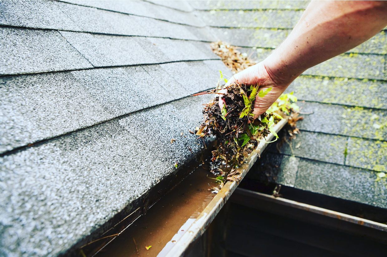 GET YOUR MIND IN THE GUTTER
Falling into the weekend with a tip to maintain your home and prepare it for the fall. The gutters around your roof divert water away from your home’s exterior and walls. It is really important to keep the gutter clear to avoid damaged surfaces. Have your gutters cleaned and consider covering them with mesh guards to keep debris from returning. Go to the link in our bio for more tips to prepare your home for the fall. Give us a call if you are looking for a referral for someone who can help with your fall maintenance checklist.