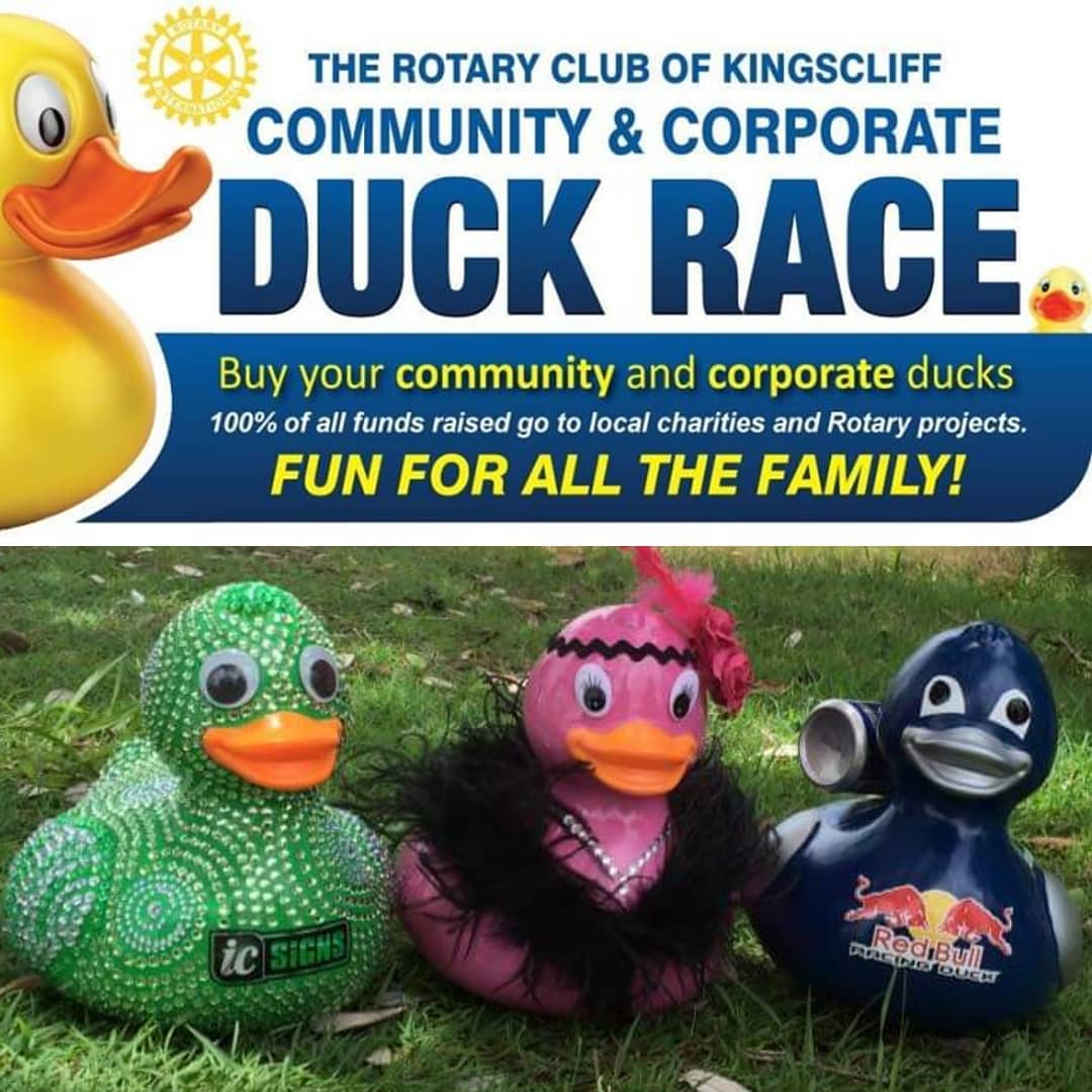 ITS DUCK RACE DAY!!! Wait until you see this year's "QUEEN DUCK" she's possibly our best duck yet.
Here's a couple of our previous master pieces, see you at creek from 9 🦆
#rotarykingscliff #duckrace #cudgencreek #tweedcoast #kingscliff #ic_signs