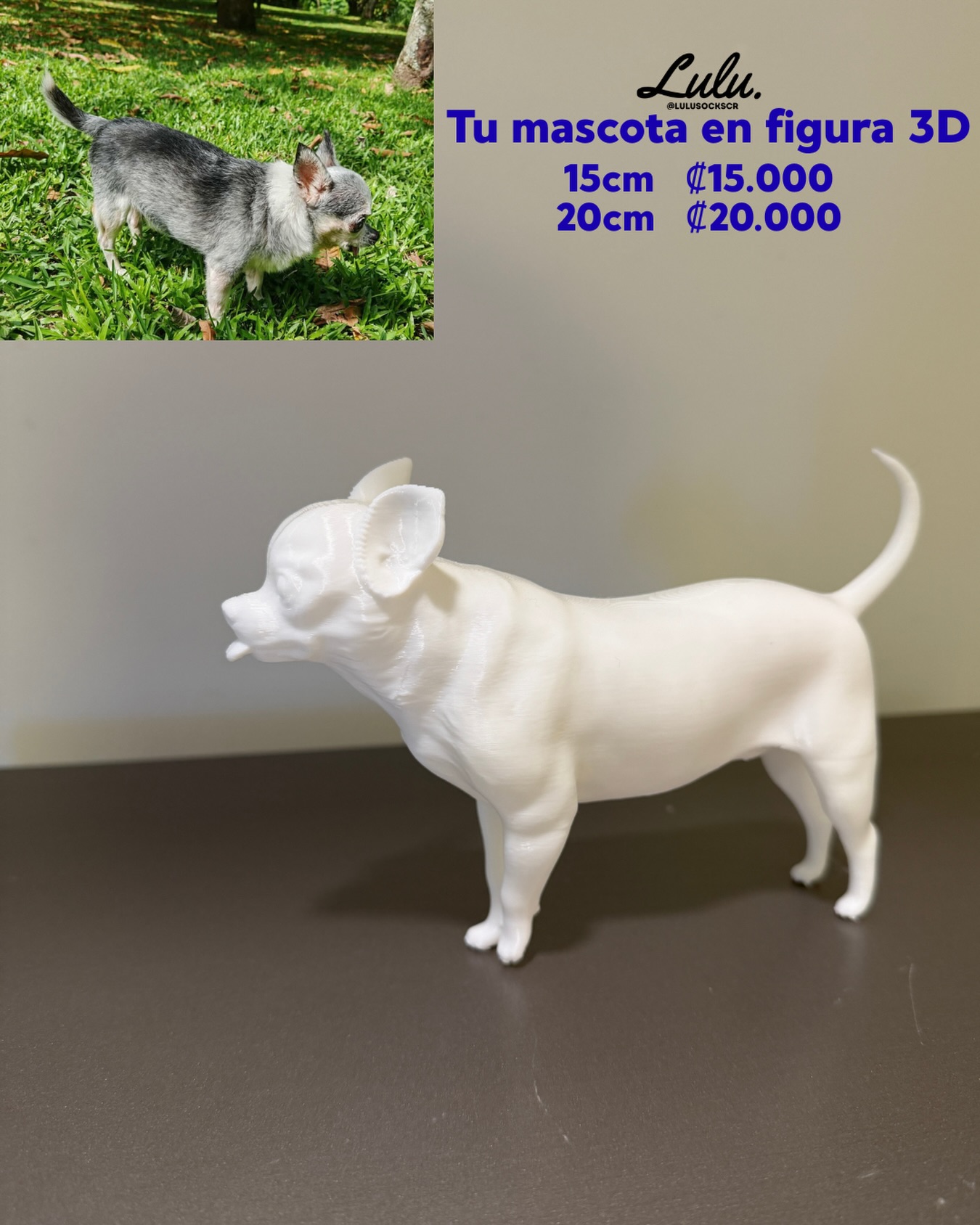 Con solo una foto, convertimos tu mascota en una estatuilla en 3D.