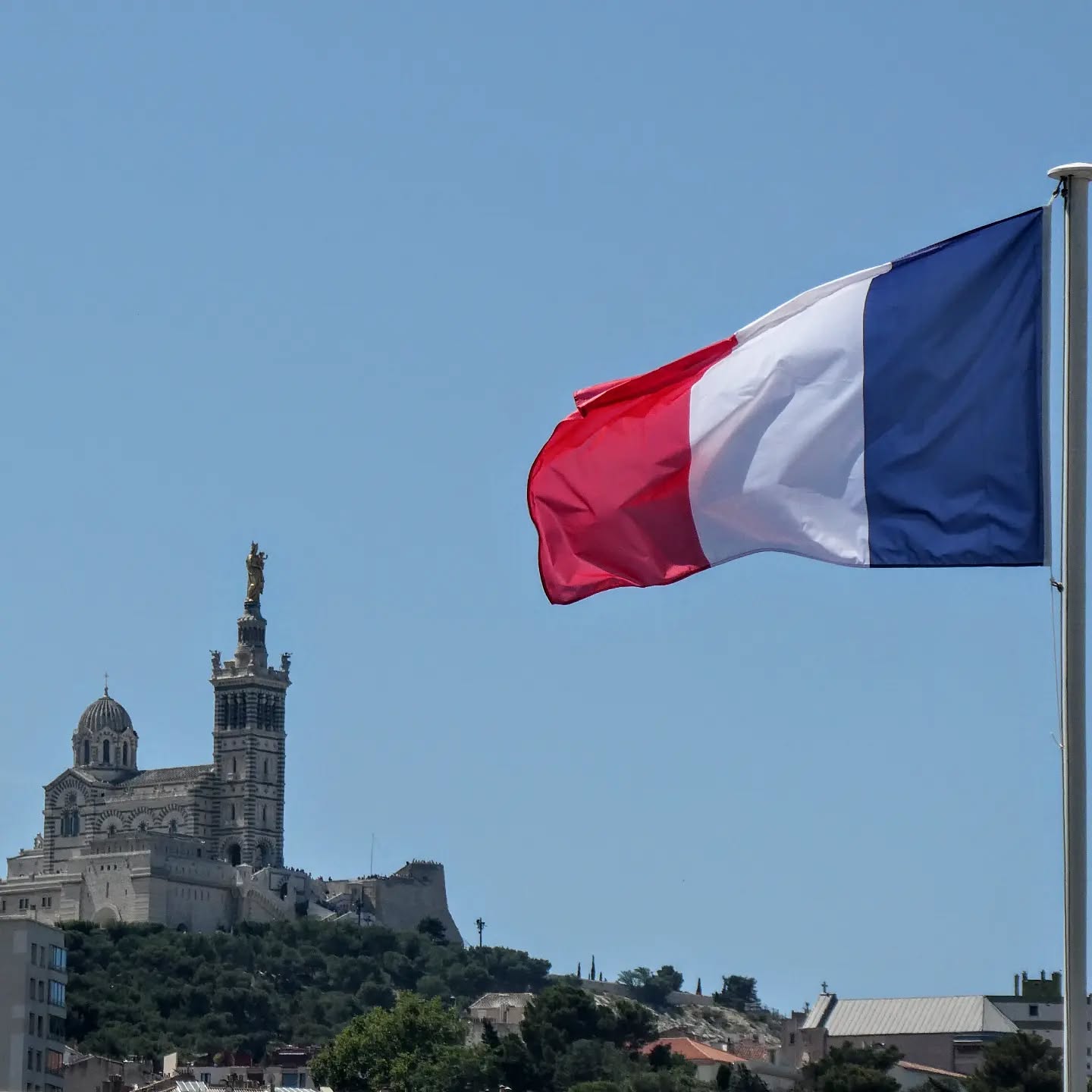 Beau 14juillet 🇫🇷
Au vu de ces dernières années il devient de plus en plus difficile d'éprouver de la "fierté française"
c'est pourquoi nous avons voulu remettre à l'honneur le patrimoine, ses emblèmes & le patriotisme Français ☀️
Nous ne lâchons pas notre solidarité française 💞 et restons emplis de ses belles valeurs et de l'essence que faisait la France 🇫🇷
trop souvent oubliées aujourd'hui. Nous sommes heureux de soutenir nos producteurs français et de valoriser notre savoir-faire, notre patrimoine végétal par des ingrédients issus du terroir français pour votre plus grand bonheur 💖
#14juillet #fetenationale #france #français #madeinfrance #patrimoine #patriotisme #patriotes #17 #producteursfrançais #bleublancrouge #cocorico #embleme #patrimoinevegetal #terroir #terroirfrançais #cosmetiquefrancaise #cosmetiquefrancais #cosmeticsupplier #patriotism #cosmetiquenaturelle #soinnaturel #complementalimentaire #suddelafrance #prenezsoindevous #naturare #naturarebio #naturarefrance #naturarefr