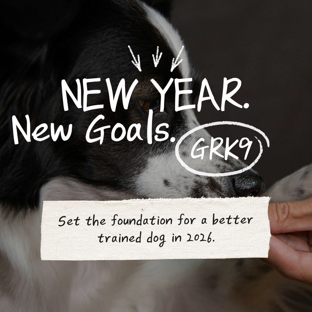 New year. New goals.
But goals don’t stick without structure.
Training isn’t about quick fixes—it’s about clear communication, consistency, and accountability that works in real life.
If you’re ready to stop restarting and start progressing, it begins with a plan.
Start with a free evaluation and build goals that actually last.
#dogtraining #grk9 #grassrootsk9