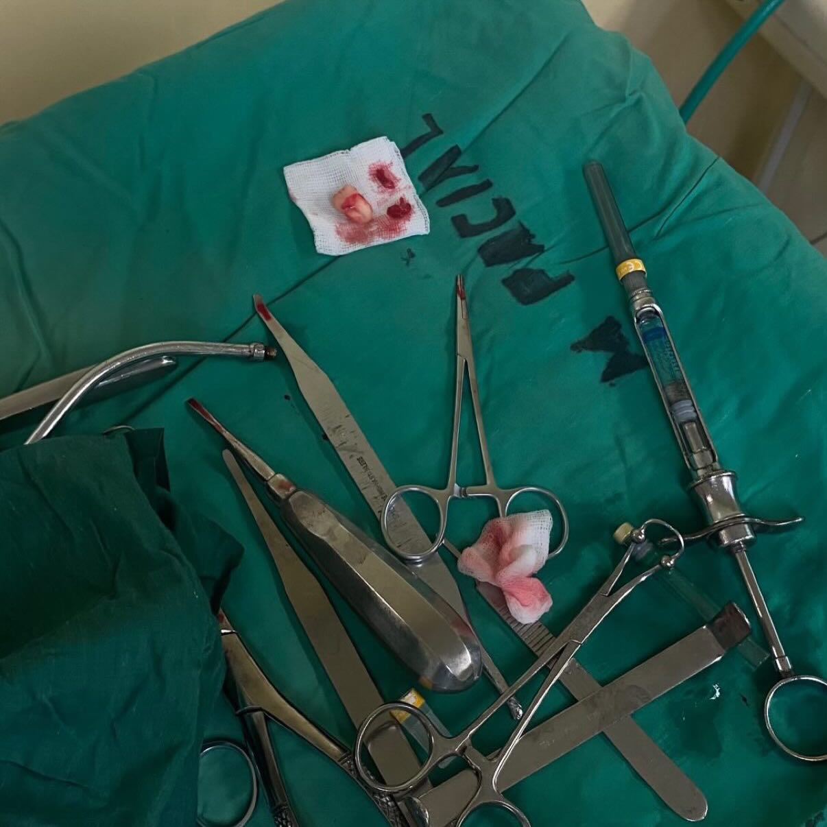 Nova semana, novos desafios e muita aprendizagem 💫
Assim se vive a formação na CubaEducation — com foco, partilha e evolução constante.