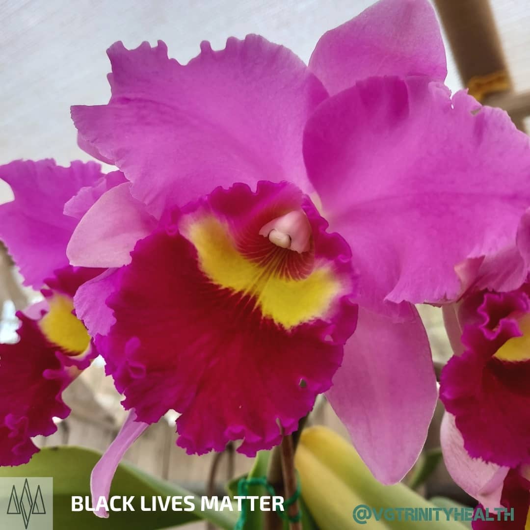 Cultivated by my mother who loves orchids. Pop of pink to brighten things up. Find some cheer where and when you can!
.
.
.
.
#mentalhealth #therapy #awareness #stress #trauma #ptsd #anxiety #depression #mind #body #spirit #somaticexperiencing #health #recovery #gratitude #mindfulness #action #nostigma #free #hope #help #open #connection #trust #peace #pink #orchid