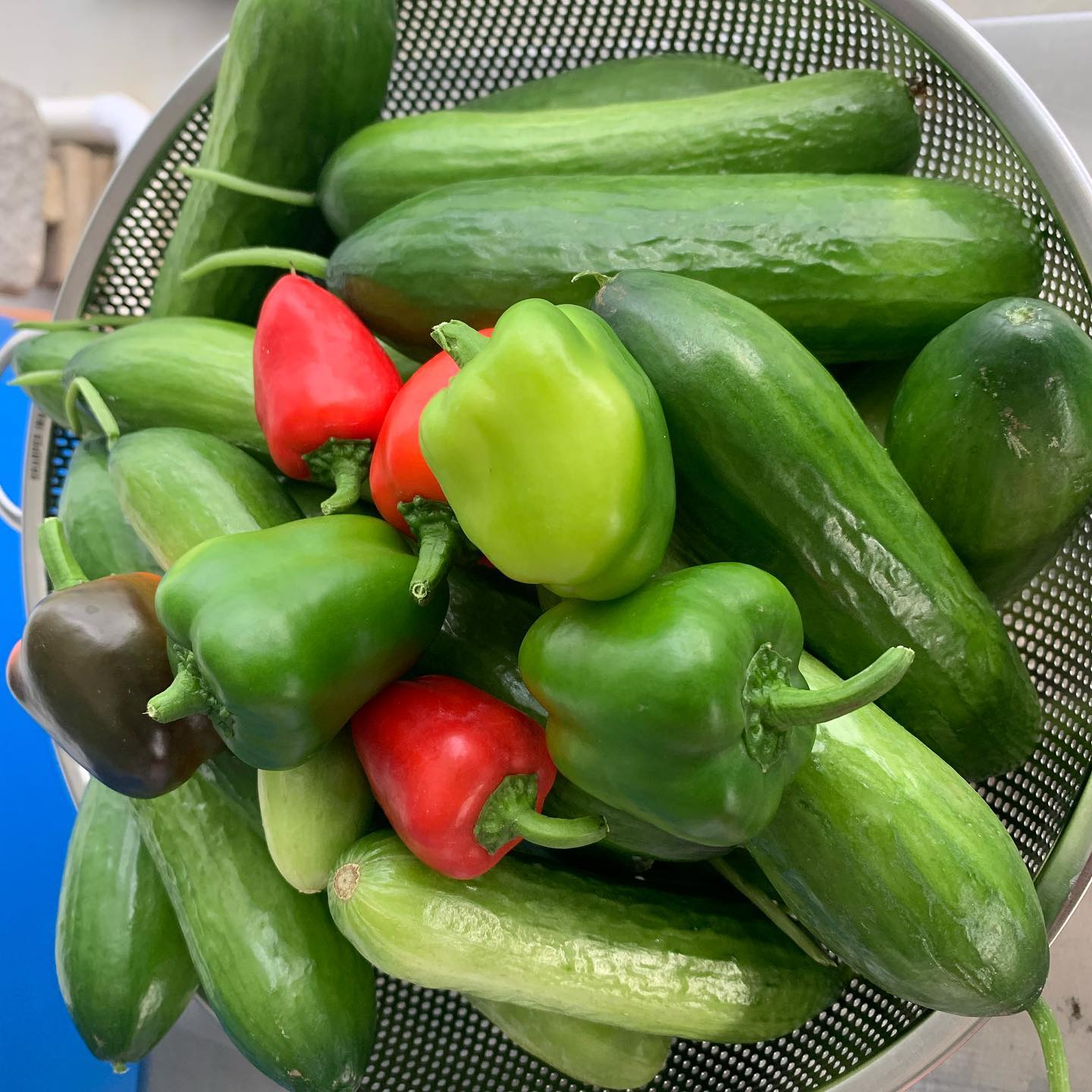 We have delicious peppers and juicy cucumbers. You can visit our booth every Wednesday at Shady Grove market and every Saturday at Derwood Farmers market.