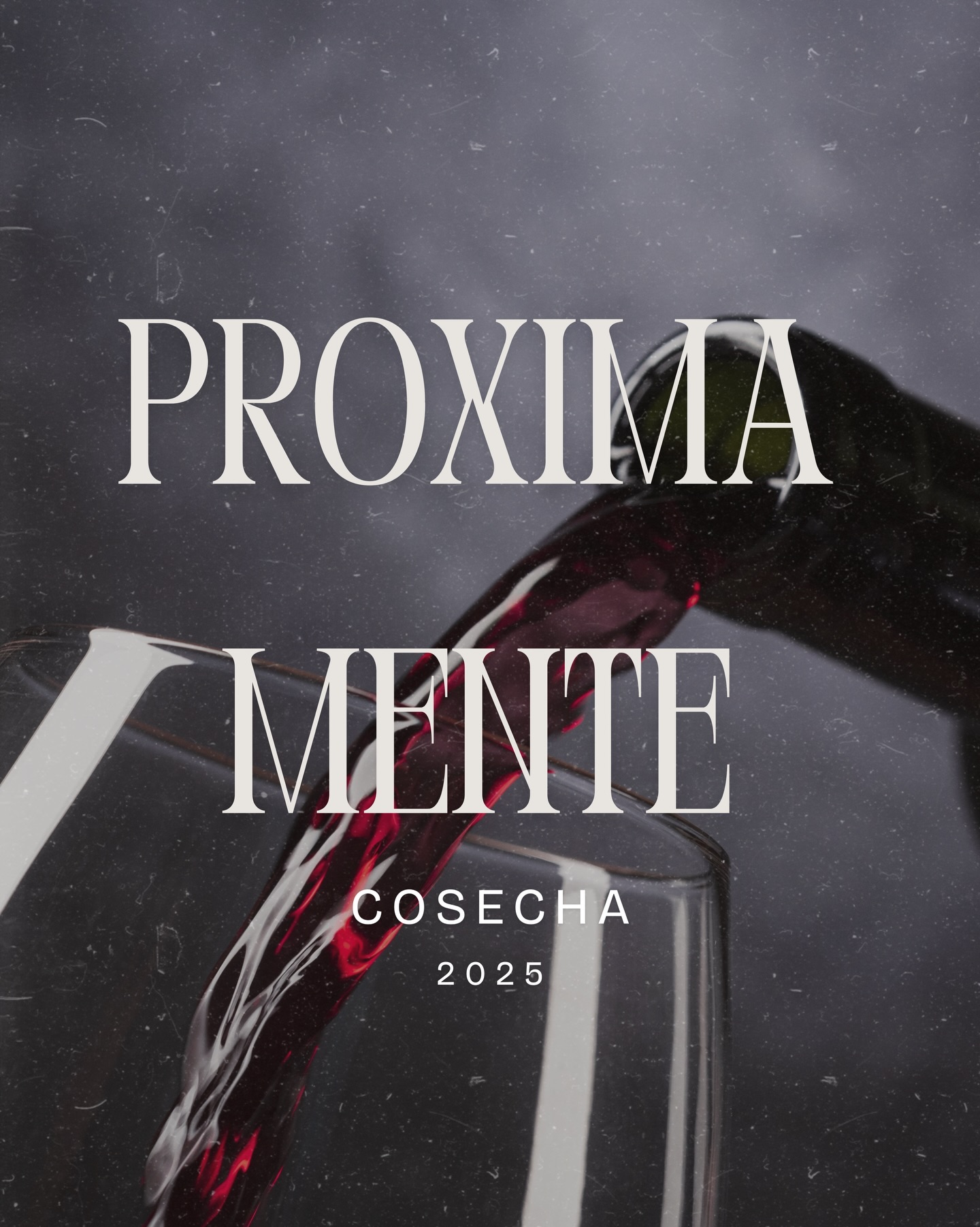 Esperando el punto justo de madurez.
Nuestro tinto Garnacha 100% será una auténtica pasada. Solo quedas tú por probarlo..