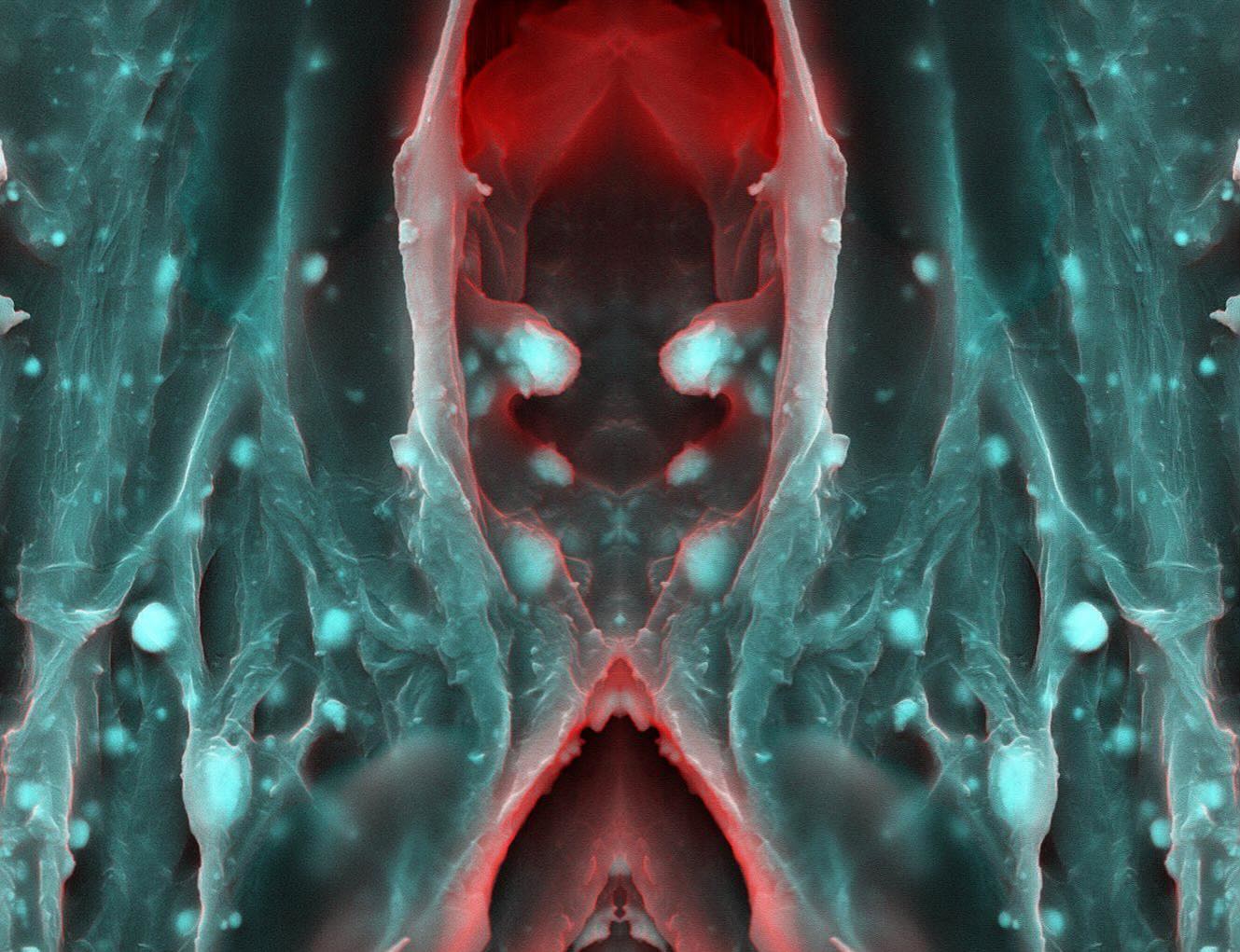 Cardiac calcification
#science #electronmicroscope #laboratory #scienceart #sciencephoto #scientific #scienceweek #research #lab #micro #microscope #microscopy #medicine #medicalsciencestudent #medicalstudent #macrophotography #mineralomics #bio #biology #bioimaging #biologylab #minerals #chemistry #material #engineering #physics #sciencecommunication #ucl #DDCSEM #Mineralomics