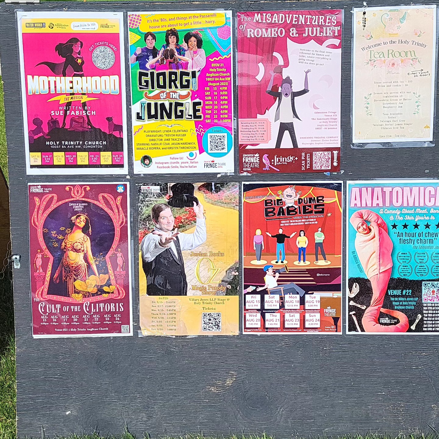 Looking for some amazing Fringe shows?
Look no further!