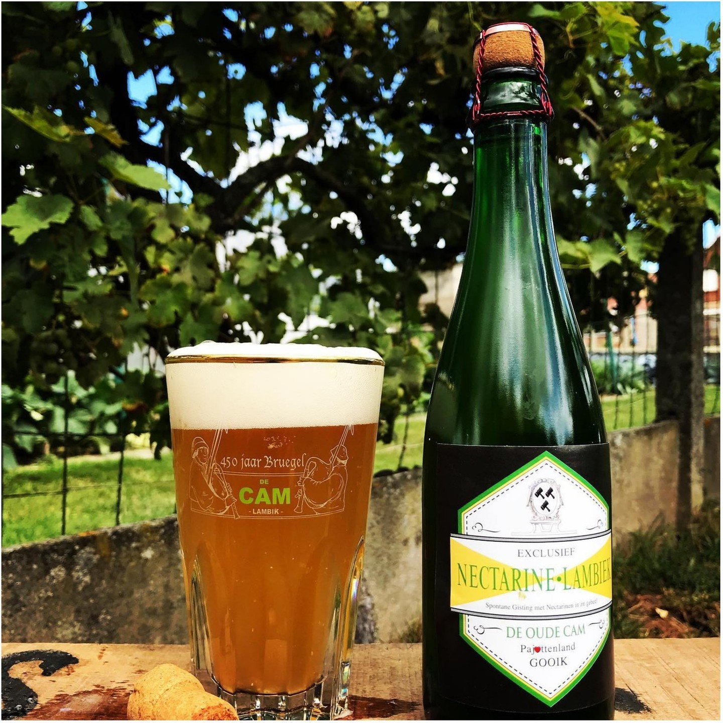 Treat Yourself or Give the Gift of Beer!
De Oude Cam-- Nectarine Lambic 2023
Gooik- Belgium (Pajottenland)
Lambic matured with Nectarines, 40kg of fruit for 100 liters of beer.
Available today alongside a fantastic variety of small batch Belgian Lambic, Saison, & Trappist style Ales!