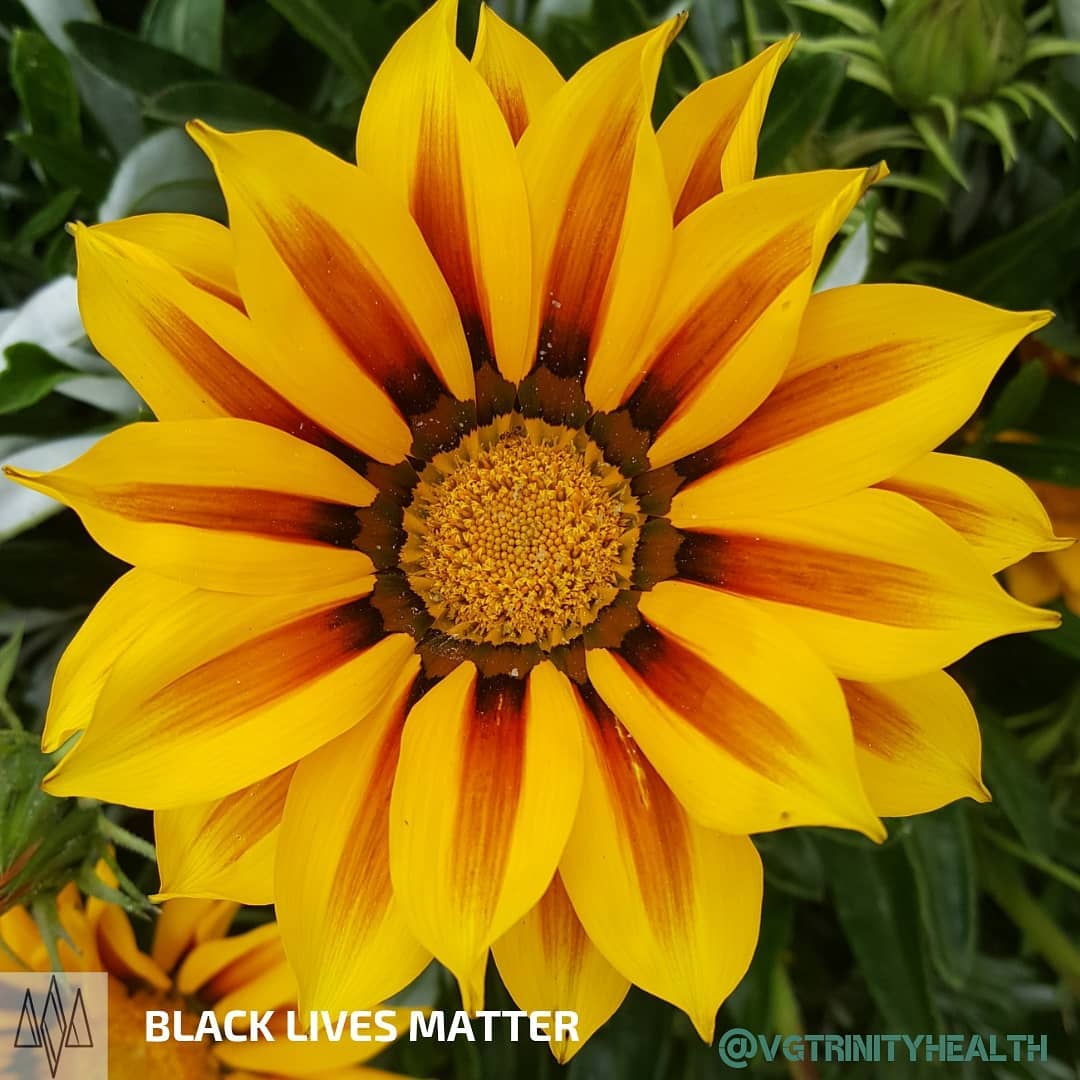 Start each day considering ways to support your #mentalhealth. This small and all too often forgotten action can help you blossom!
.
.
.
#therapy #awareness #stress #trauma #ptsd #anxiety #depression #mind #body #spirit #somaticexperiencing #health #recovery #gratitude #mindfulness #action #nostigma #free #hope #help #open #connection #trust #peace #mentalhealthawareness #nature #flowers
