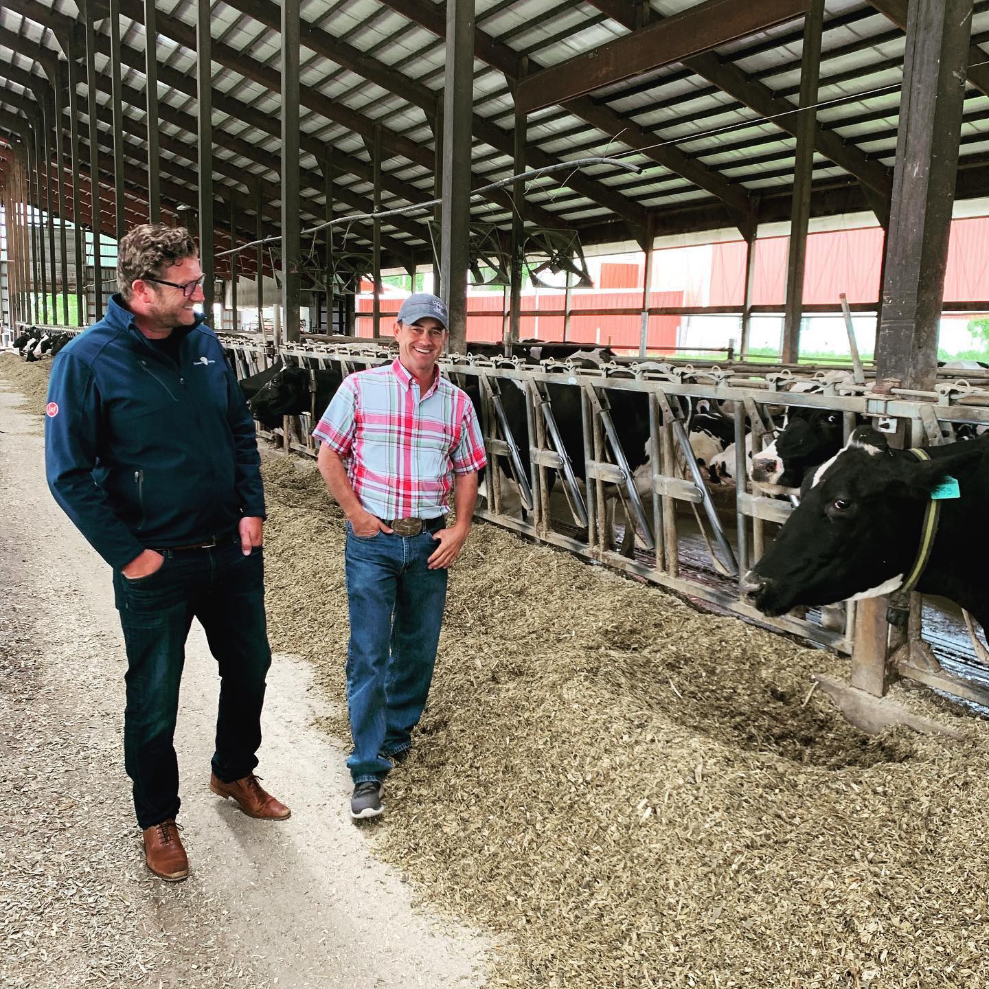 Kicking off June Dairy Month with World Milk Day. Join us in raising a glass!! #cheers #milk #familyfarming