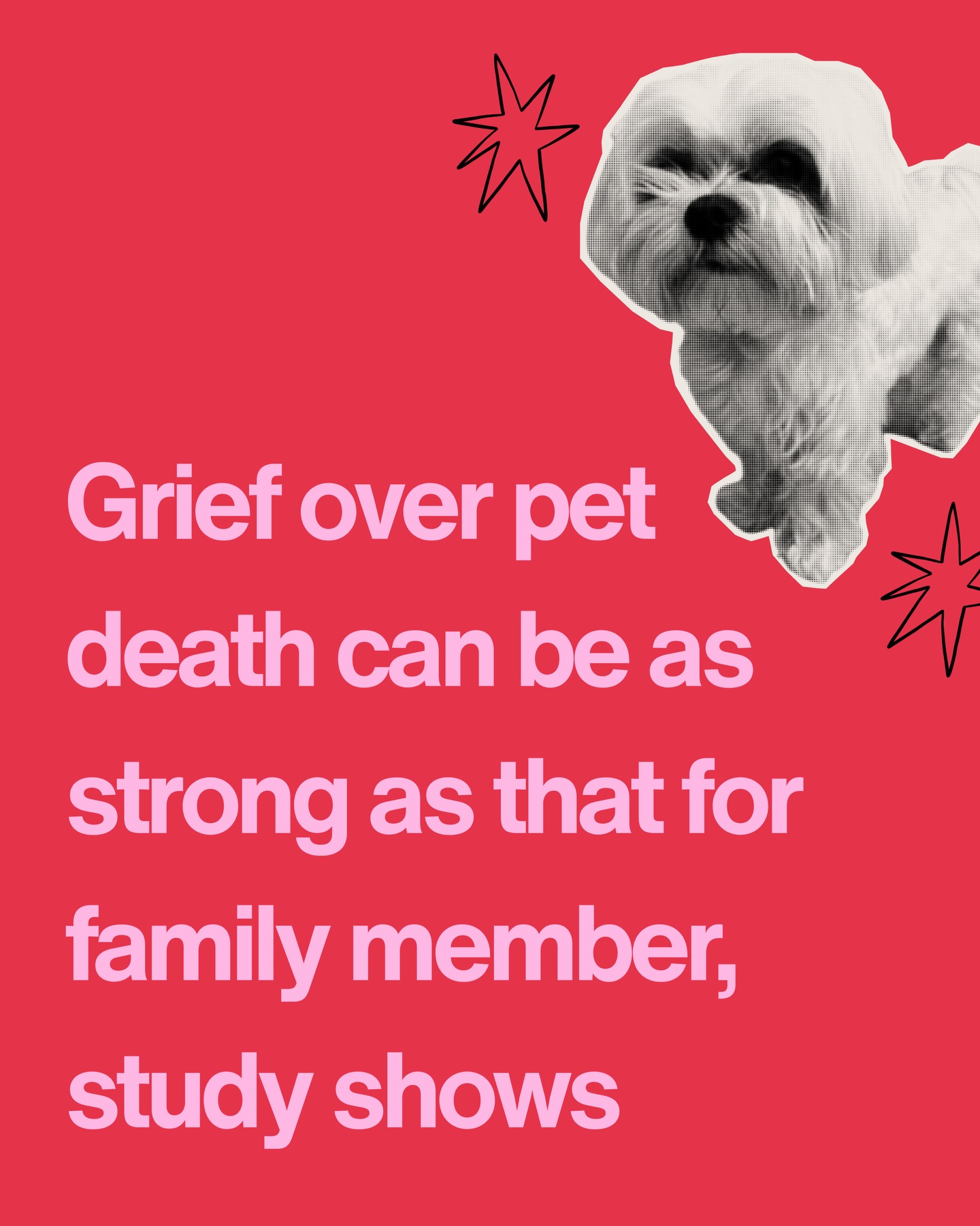 For many, the bond with a pet is among the most profound relationships of a lifetime. New research published by Maynooth University confirms that the loss of a pet can trigger Prolonged Grief Disorder (PGD) - a condition that can last for years after loss.
The study, led by Professor Philip Hyland, found that 7.5% of grieving pet owners met the diagnostic criteria for PGD. This figure is incredibly close to the grief experienced after losing a close friend, grandparent, or sibling. In fact, one-fifth of respondents reported that losing a pet was more difficult than losing a human family member.
Despite these findings, current medical guidelines only allow for a PGD diagnosis following the death of a person. This often leaves pet owners facing “disenfranchised grief,” where they feel shame or isolation for mourning an animal so deeply.
Professor Hyland argues that since the psychological symptoms are identical regardless of species: “The decision to exclude pet loss from the bereavement criterion for PGD can be viewed as not only scientifically misguided but also as callous.”
🗣️GO OFF PROFESSOR HYLAND! 💖
#petloss #grief #maynoothuniversity #petgrief #pets