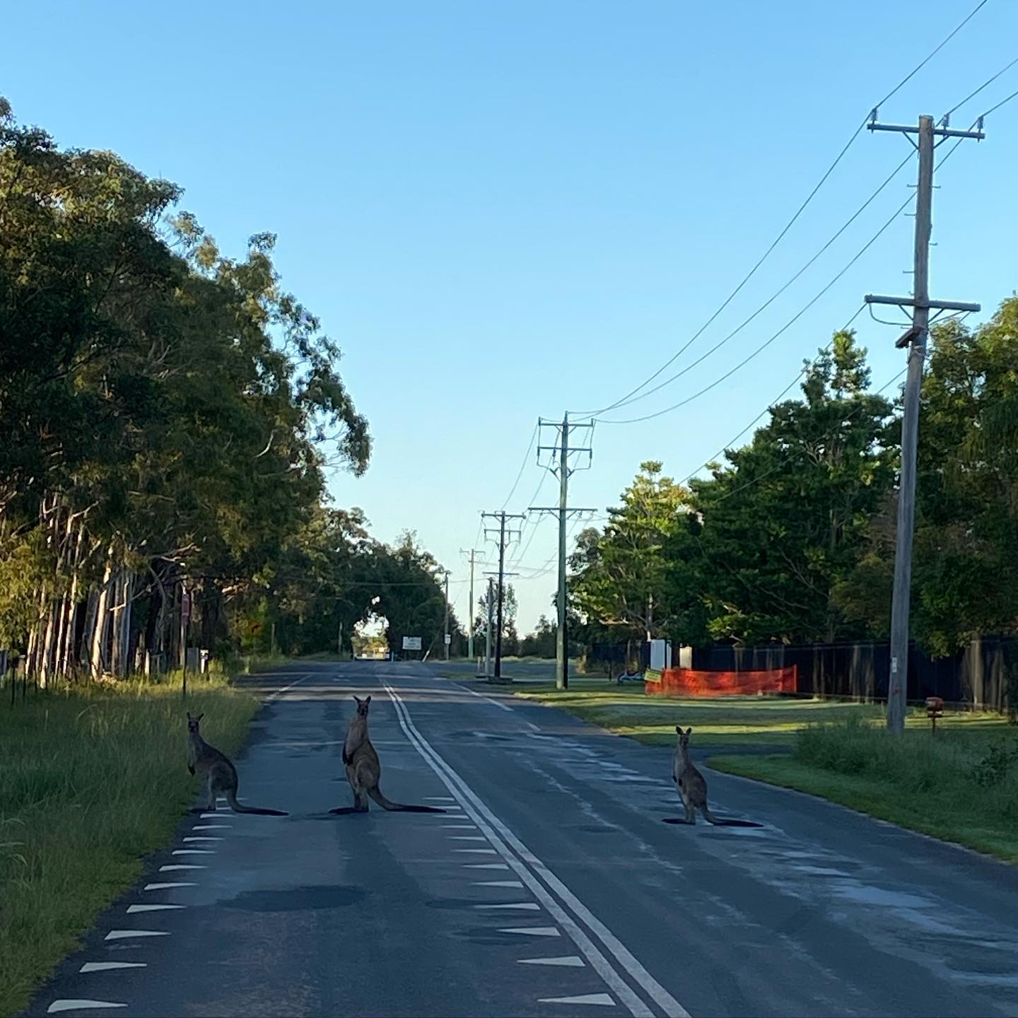 Some solid social distancing observed out on our ride 🚴🏻♀️ this morning 😂 .
Get moving today, but play by the rules! #australia #socialdistancing #iwanttoridemybicycle #activelifestyle