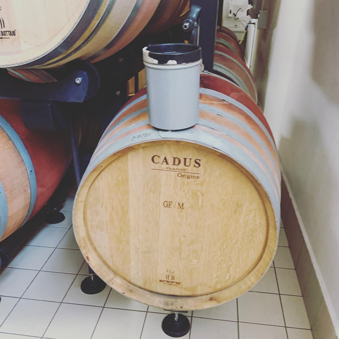 #sognolavico#20# @dadosommelier#new#wine#passion