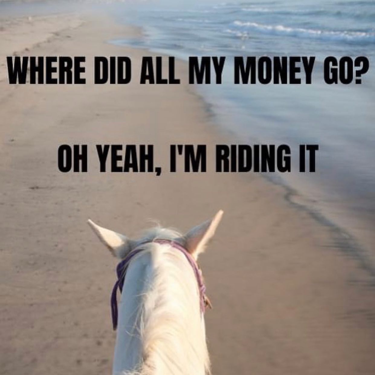 Tomorrow is our beach ride at Sherwood Island! Look forward to seeing you all there ☺️
#NBLA #PreserveOpenSpaces #fairfieldcountyequestrians #newtownCT #BeachRide #Springtime