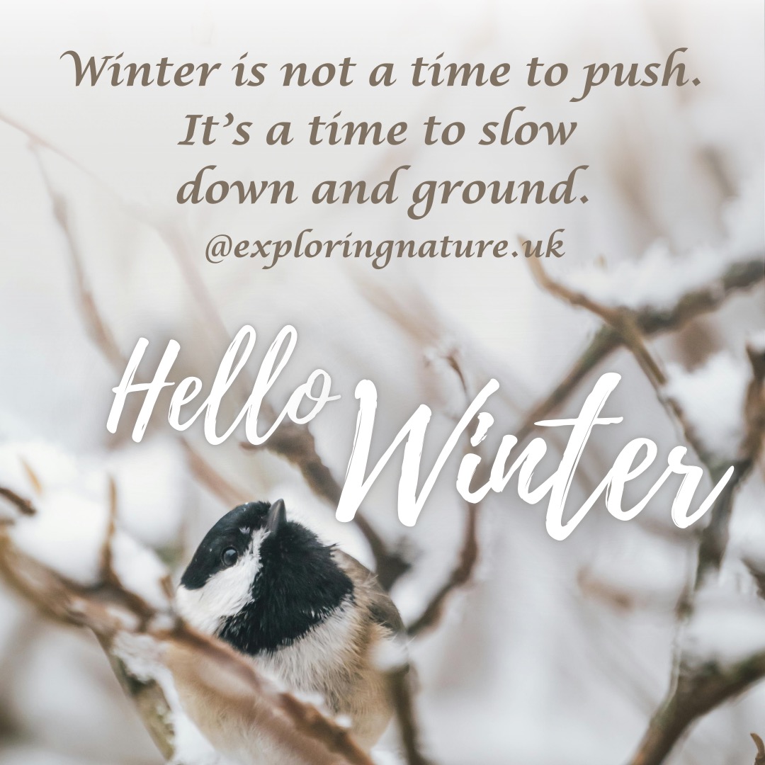 Winter is not a season for pushing.
It’s a season for grounding, rest, and gentle care.
Winter Grounding is a small, nature-led, six-week programme for anyone feeling tired, overwhelmed, or in need of steadiness through winter.
We’ll meet on Thursday mornings in a calm, supportive group, spending time with the land and gathering in the warmth of the yurt at the beginning and end of the programme. There is no pressure to fix or change anything — just space to arrive as you are.
🌿 Winter Grounding
📅 Thursdays | 5 Feb – 12 March
⏰ 10:30am–12:00pm
📍 Abbotshall (SE6 1SQ)
👥 Small group (max 6)
✨ Early booking £210 (until 28 January)
✨ Standard price £230
Message me to find out more 🌱
#WinterGrounding #SeasonalWellbeing #SlowWinter #NatureBasedWellbeing #GroundingPractice #OutdoorWellbeing #ForestSchoolForAdults #LewishamWellbeing #SE6 #RestAndRestore