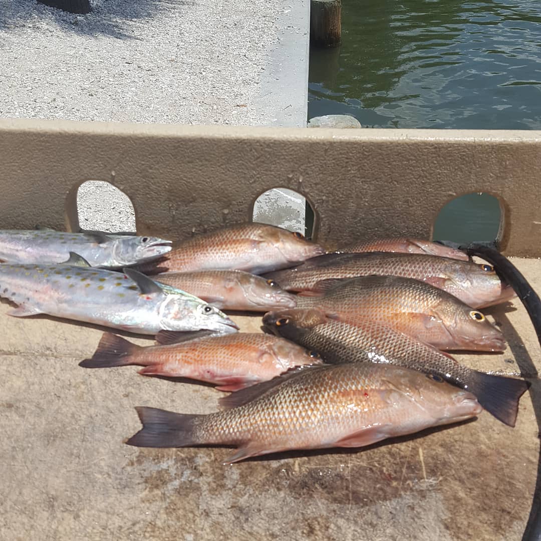 Nice day on the water