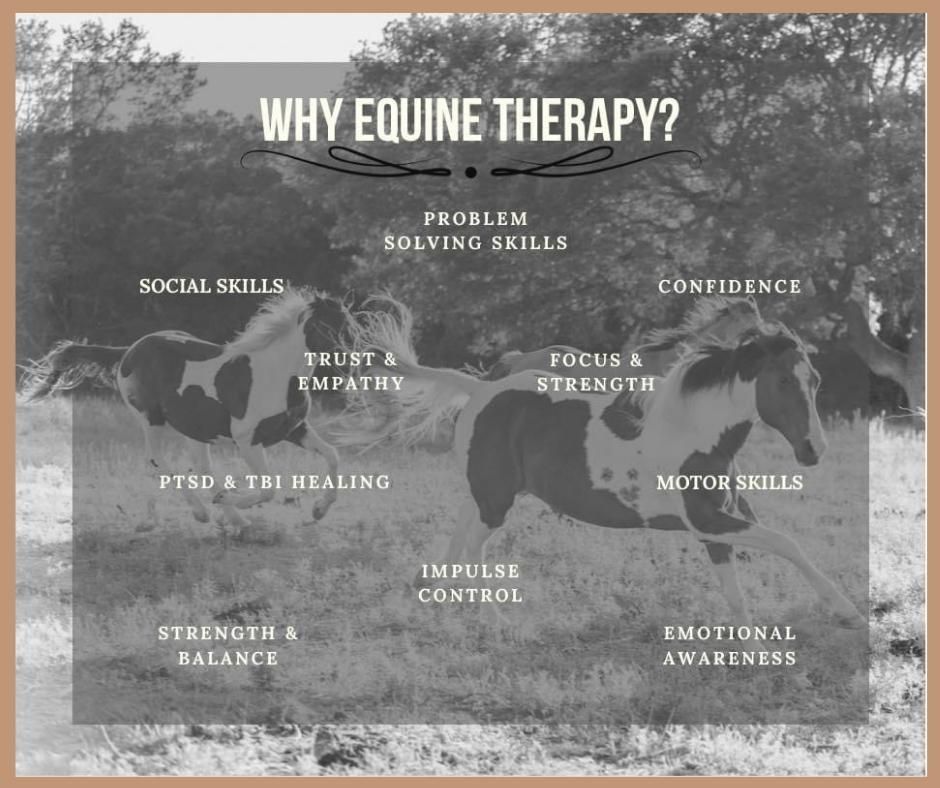 Why is equine-assisted therapy so effective for Veterans and First Responders?
PTS and chronic stress unmanaged typically leads to a daily emotional battle that eventually leads toward substance abuse and other damaging coping mechanisms. Equine-assisted services has been proven to provide emotional stability and allow people to open up in ways a traditional therapy method never can. Reduced stress because of the interactions with horses is just one of the many benefits that aid in long term mental health and recovery.