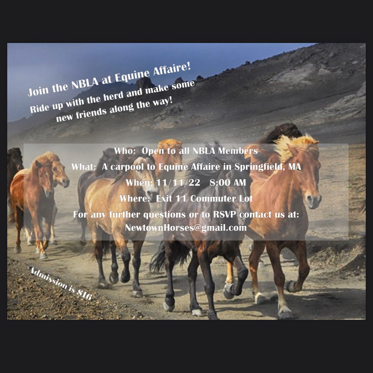 🚨CALLING ALL MEMBERS🚨
Carpool with us to the Equine Affaire in Springfield this Friday!
Meet up is 8AM at the exit 11 commuter lot.
Send RSVP to NewtownHorses@gmail.com