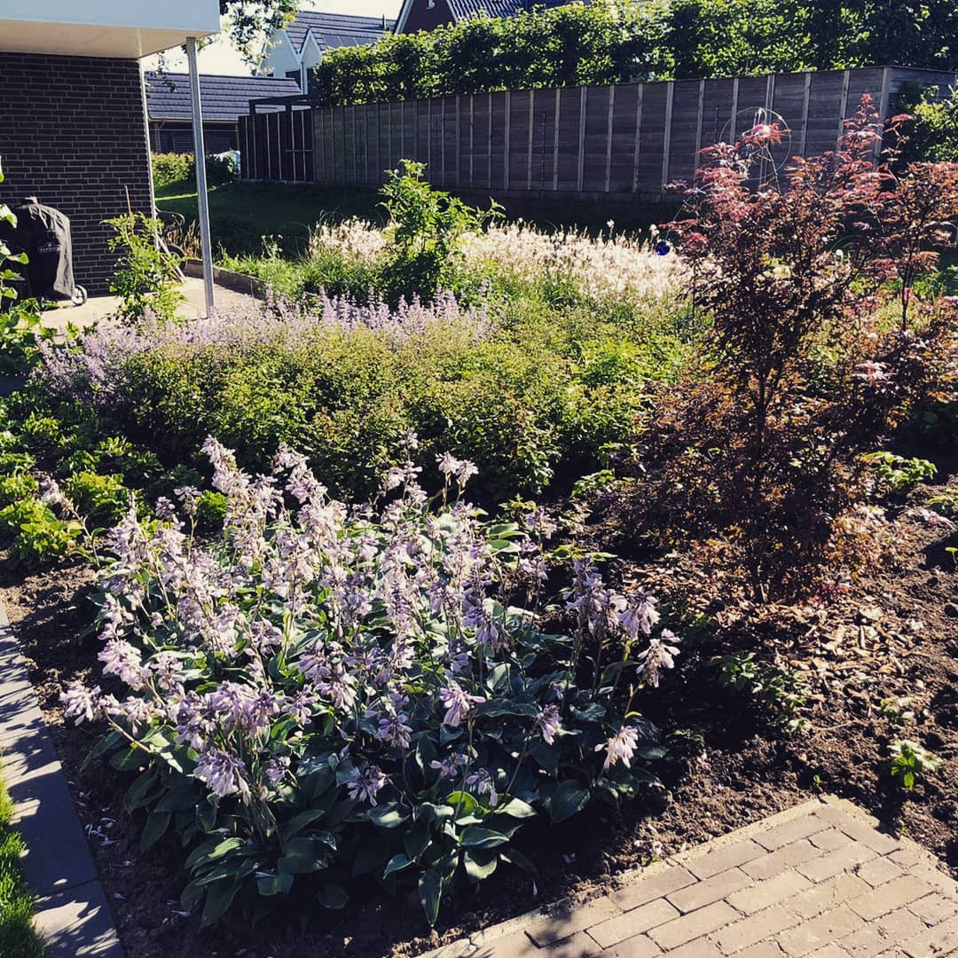 Bloemrijke tuin in Tubbergen