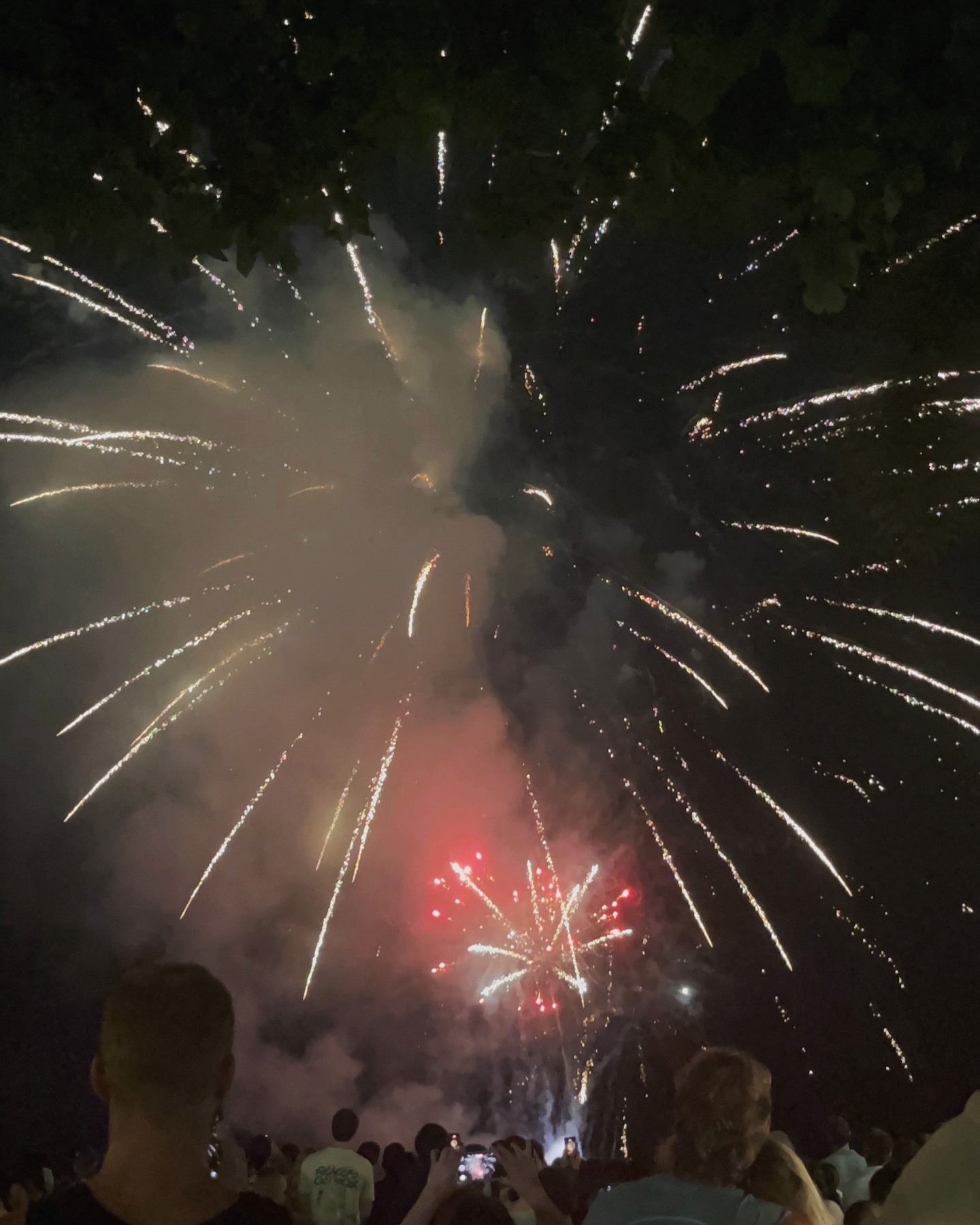 Better late than never...
HAPPY NEW YEAR💃👏
Did the new year start off happy for you??
Even if not, don't you worry there's plenty of time ahead!!❤️
We are wishing all of us a year full of happiness😍✨😍🌈
#cairns#hostel#vackpacker#newyear#2026