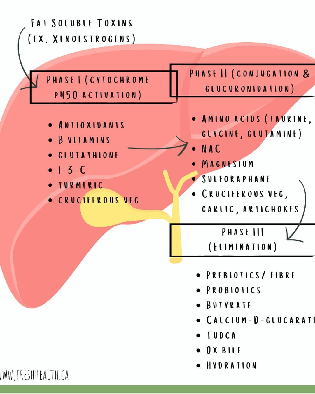 Xenoestrogens, estrogen dominance, and liver support...yep there is a link.
Read my blog to learn about the solutions to hormone balance.
#hormones #xenoestrogens #liversupport #estrogendominance #libido #hotflashes #pms #PFAS