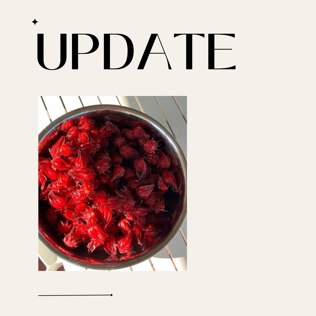 Update on Rosella Jam!! 🫶🏼🫶🏼 Please have a read!