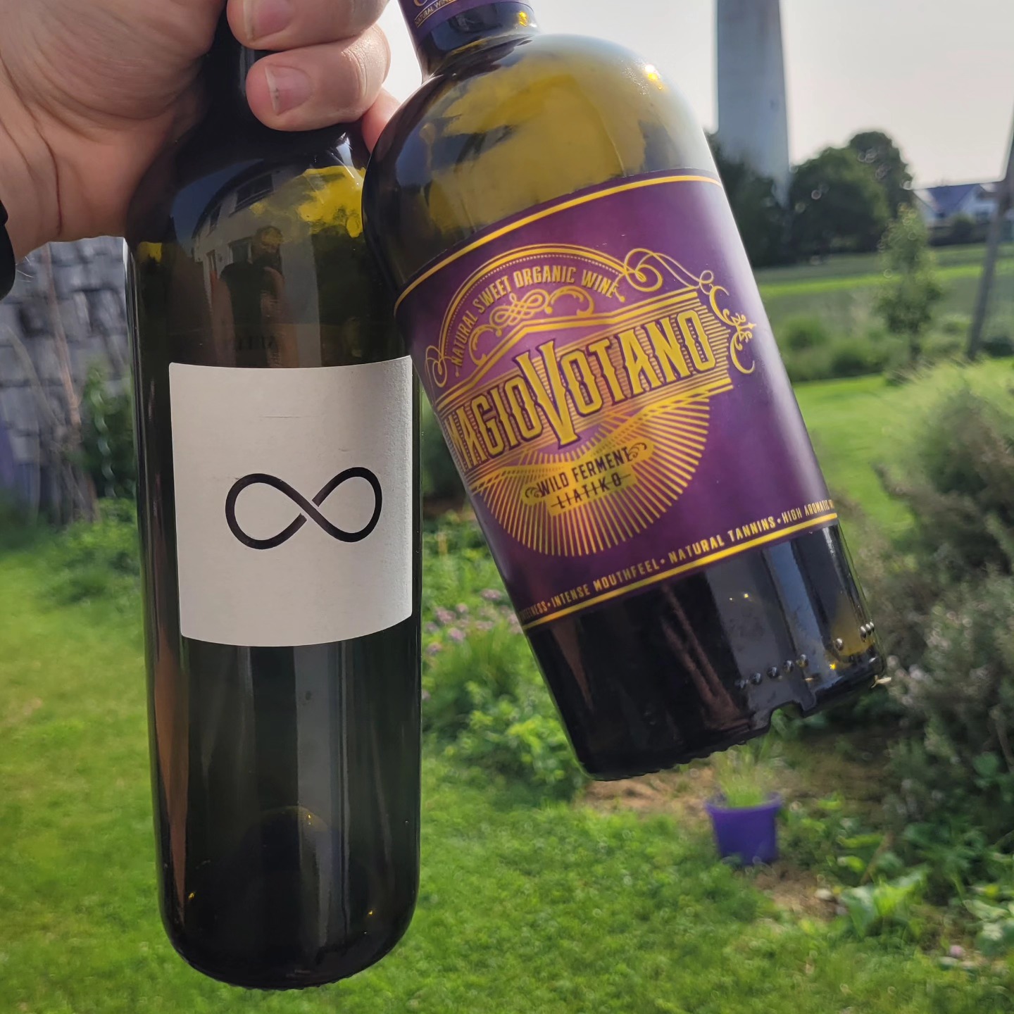 G A M E N I G H T 🇬🇷🎲 — two native grapes I love when they’re at their very best (and too often merely “fine”). Tonight we hit the top shelf.
1️⃣ 2015 Apeiro “∞” — Agiorgitiko (old vines)
First pour ever of this wine from @philoswines (I’ve never touched the entry-level). Nose is flat-out stunning — maybe the most complex bouquet I’ve had from a Greek red this year: black cherry cordial, violets, graphite, sea breeze. On the palate the pieces aren’t quite locked together yet; the mid-palate feels a hair loose, but the salt-rimmed fruit and a minute-long finish still drive it to 95 pts. Hard to believe it’s ten years old. Tip: let it climb through a few temperatures — warmer = more cherry-plum depth, the oak melts in, the age peeks out. (2015 really was a magic vintage for Agiorgitiko; @ktimabibliachora Areti 2015 proved that last week.) One of the best Agiorgitiko wines according to @wineandnature, from whom you can get the wines in Germany. I get the hype. It's indeed the best under-the-radar representative of the variety I've had. Price is perfectly fair, so no “bargain steal”, BUT serious quality.
2️⃣ MagioVotano — Liatiko Natural Sweet (0.5 L)
Old, ungrafted vines on Crete, grapes sun-dried ten days, wild ferment, bottled unfiltered at 15.6 % alc. (Note: almost identical to the dry wine we had!) Think rose petal, dried strawberry, bergamot, salted caramel — floral and vividly refreshing for a red dessert wine. Easily another 95 pts. Call it one of the best under-the-radar Greek sweet wines out there. Can’t wait to revisit this wine in a decade! BRAVO, @ampelourgein! (Also available from @wineandnature; definitely a bargain, a must-have if you love Crete).
#GreekWine #Agiorgitiko #Liatiko #OldVines #NaturalSweet #WineReview #GameNight