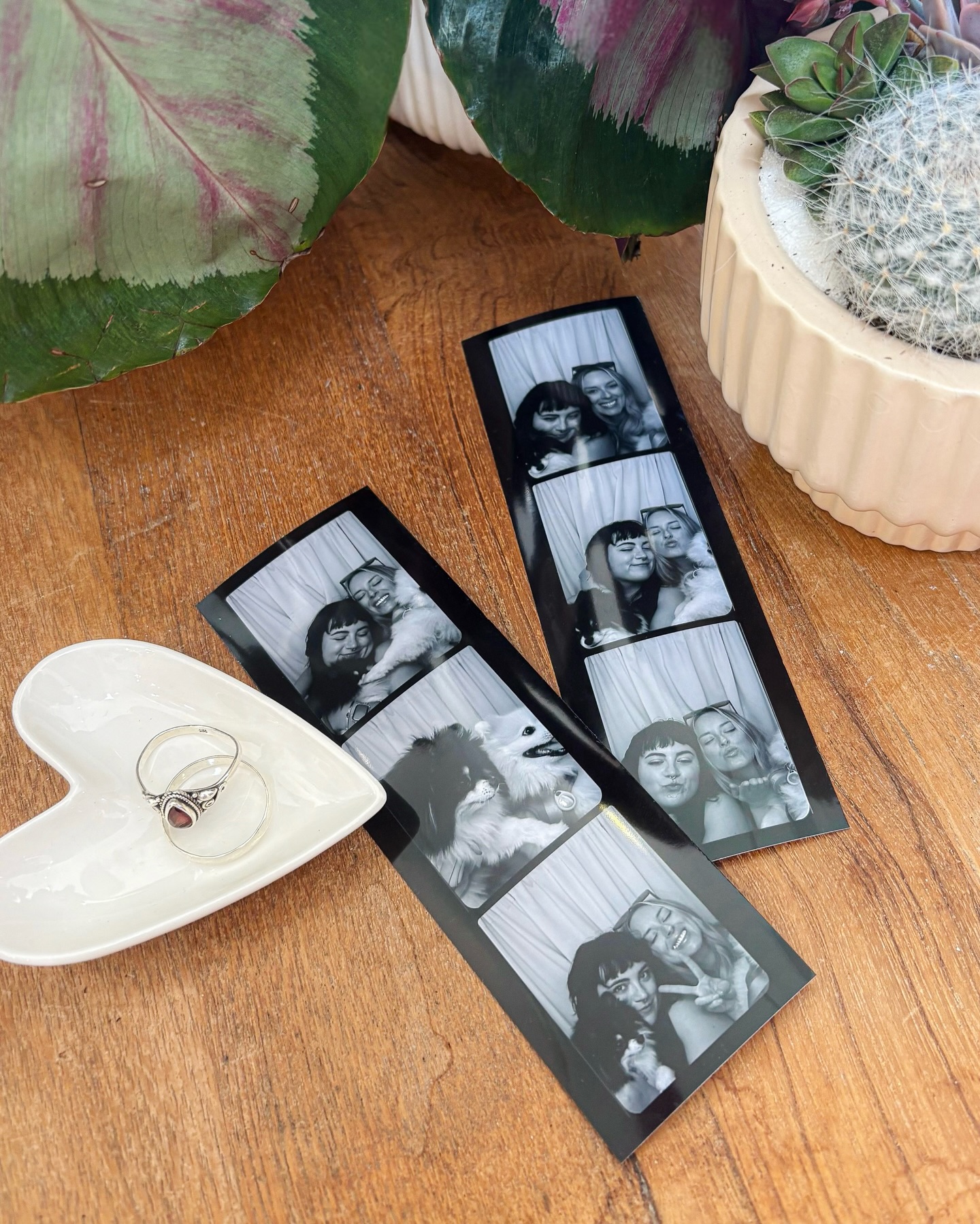 gossip girl, vintage shopping, sunsets, puppy cuddles, & sharing silly stories about our mom… name a more perfect weekend (I’ll wait🥹)