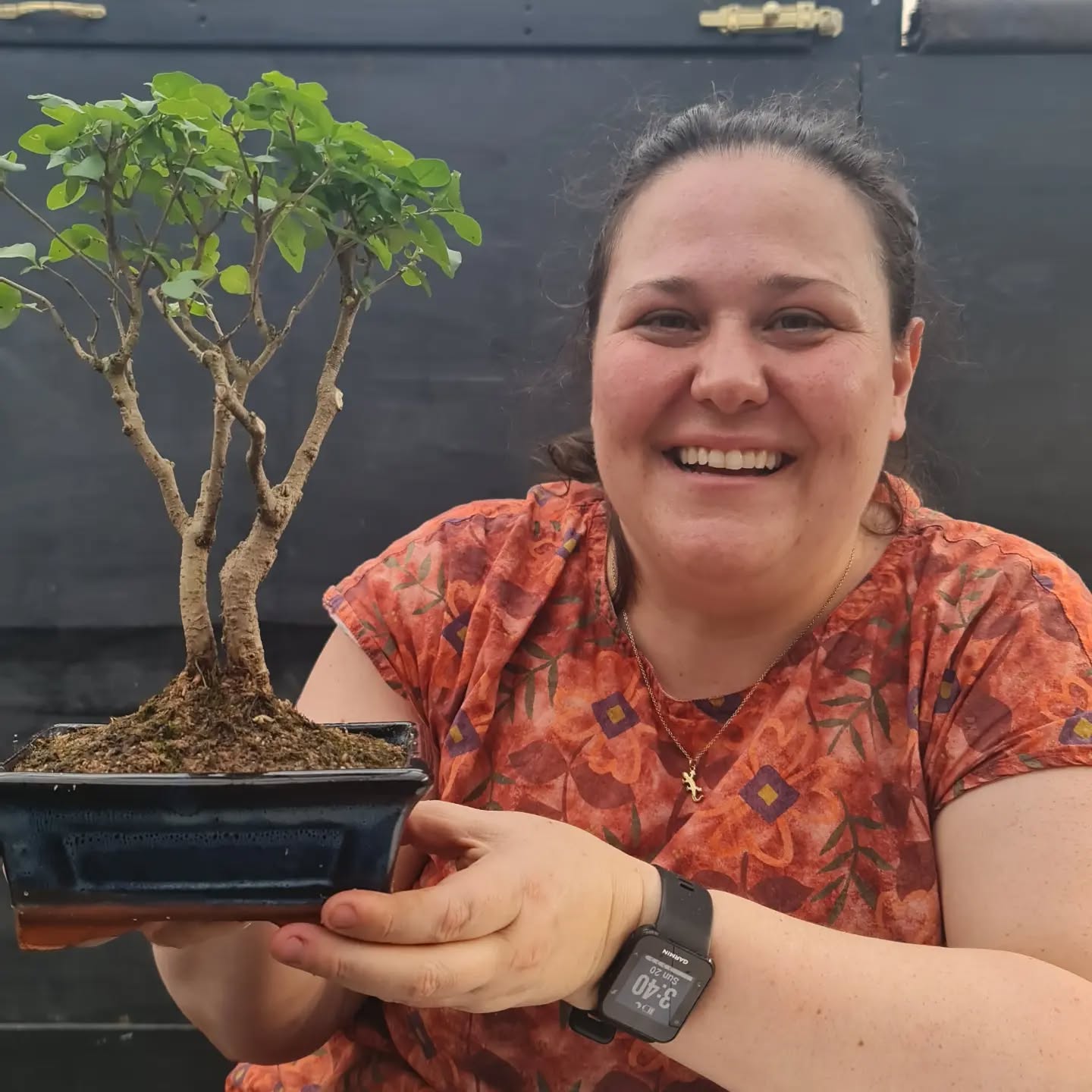 Working on indoor species