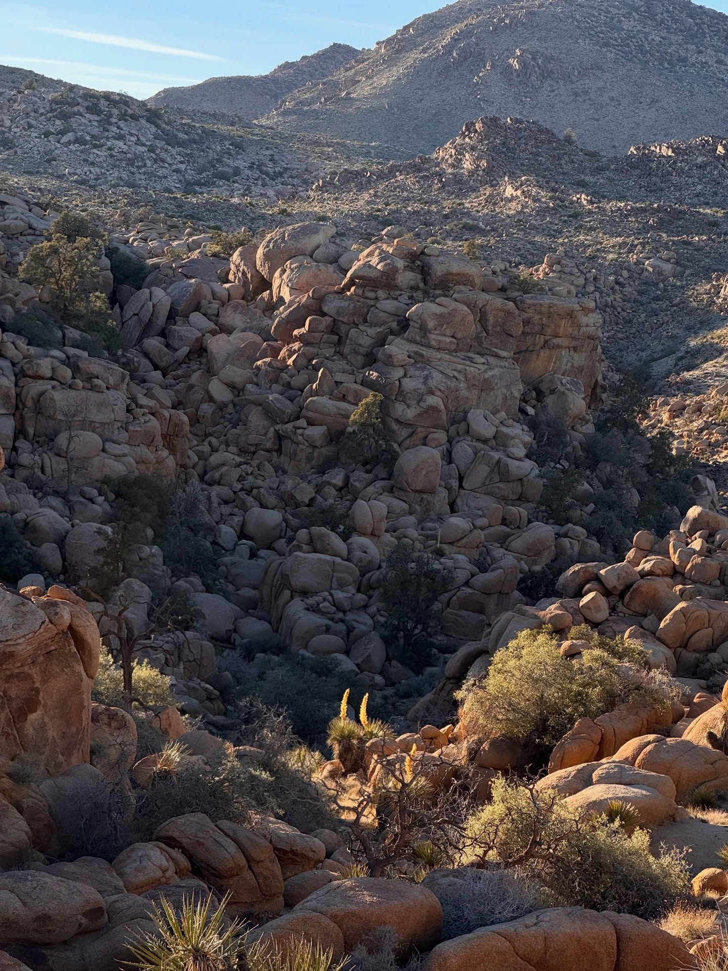 It’s not always about the perfect photo. It’s about the moments we stand here, in this place. Everything we feel. Everything we see.
The moment we arrive.
Joshua Tree National Park @joshuatreenps
#intentionaltravel #slowliving #desertvacation #travelinspo