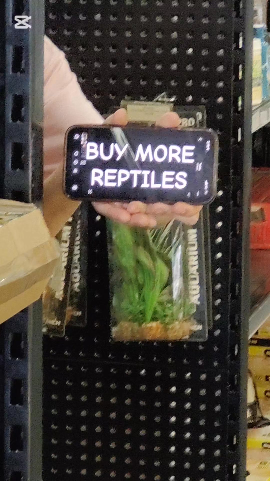 POV. You asked the universe for signs… and now they’re literally everywhere 👀✨📱
Was it fate? Manifestation? Or just reptiles calling your name 🦎🐍💸
We don’t make the rules but we do have the reptiles!