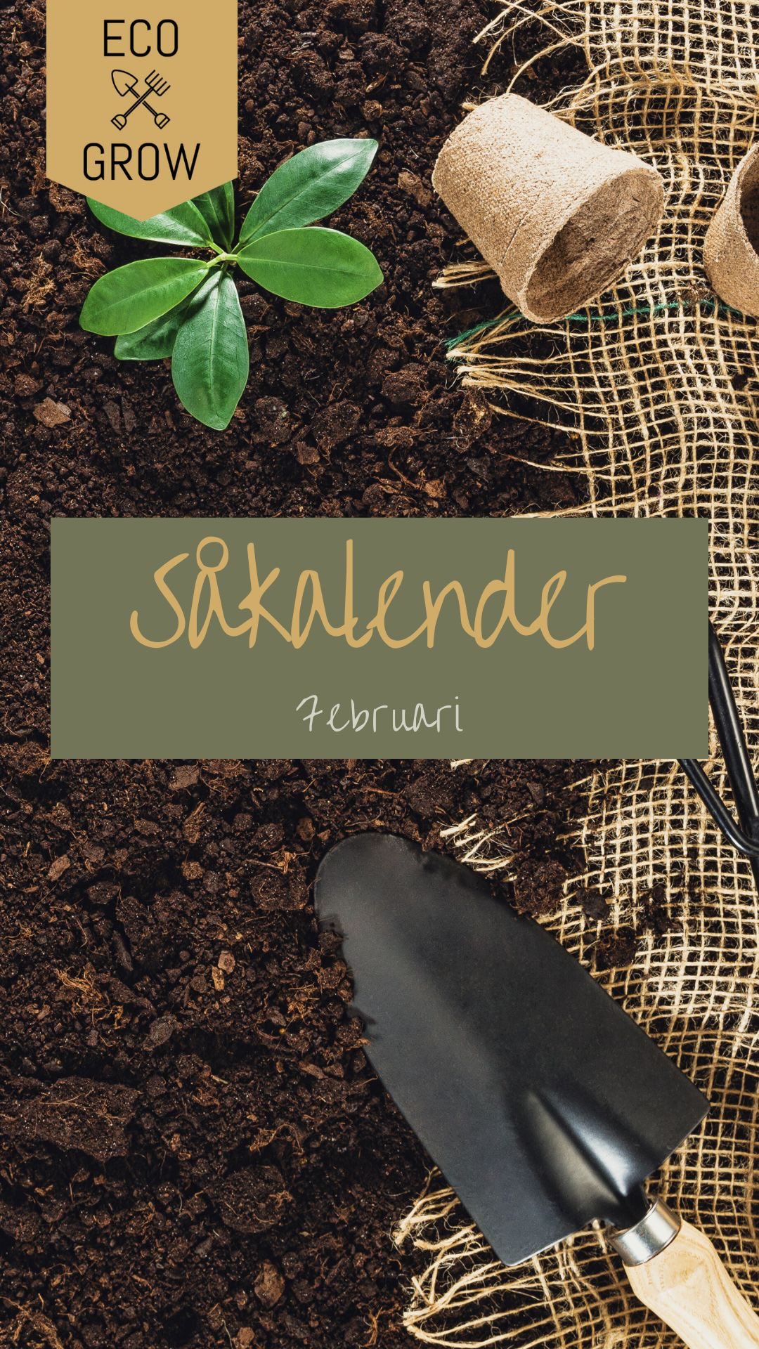 Februari 🌱☀️❄️
- en månad när man nästan kan känna vår i luften och dagarna blir ljusare! Om du inte hann starta odlingen i januari är det är ingen fara! Du hinner få en fin skörd om du sår fröna nu i februari också.
Vi brukar starta odlingssäsongen i februari och i dagarna ska vi så piplök, chilipeppar, paprika och purjolök. Vi har verkligen fått hålla i oss att inte börja tidigare, men i maj när det annars är en djungel inomhus av plantor som står och stampar, kommer vi tacka oss själva🙈🌱
Kom ihåg växtbelysning om ni ska börja redan nu!☀️
Fröer hittar ni på ecogrow.se