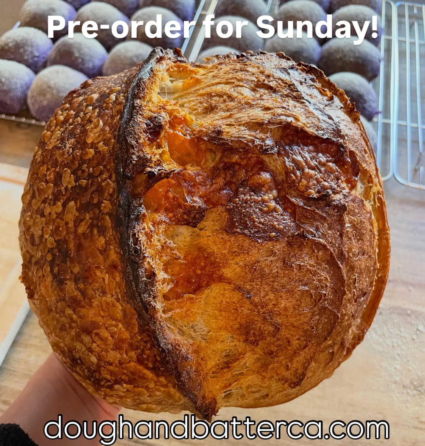 Still time to pre-order for Sunday delivery and treat yourself to freshly baked bread and a slow, cozy weekend.
doughandbatterca.com ❤️
#cheddar #sourdough #doughandbatter #doughandbatterca #mohill