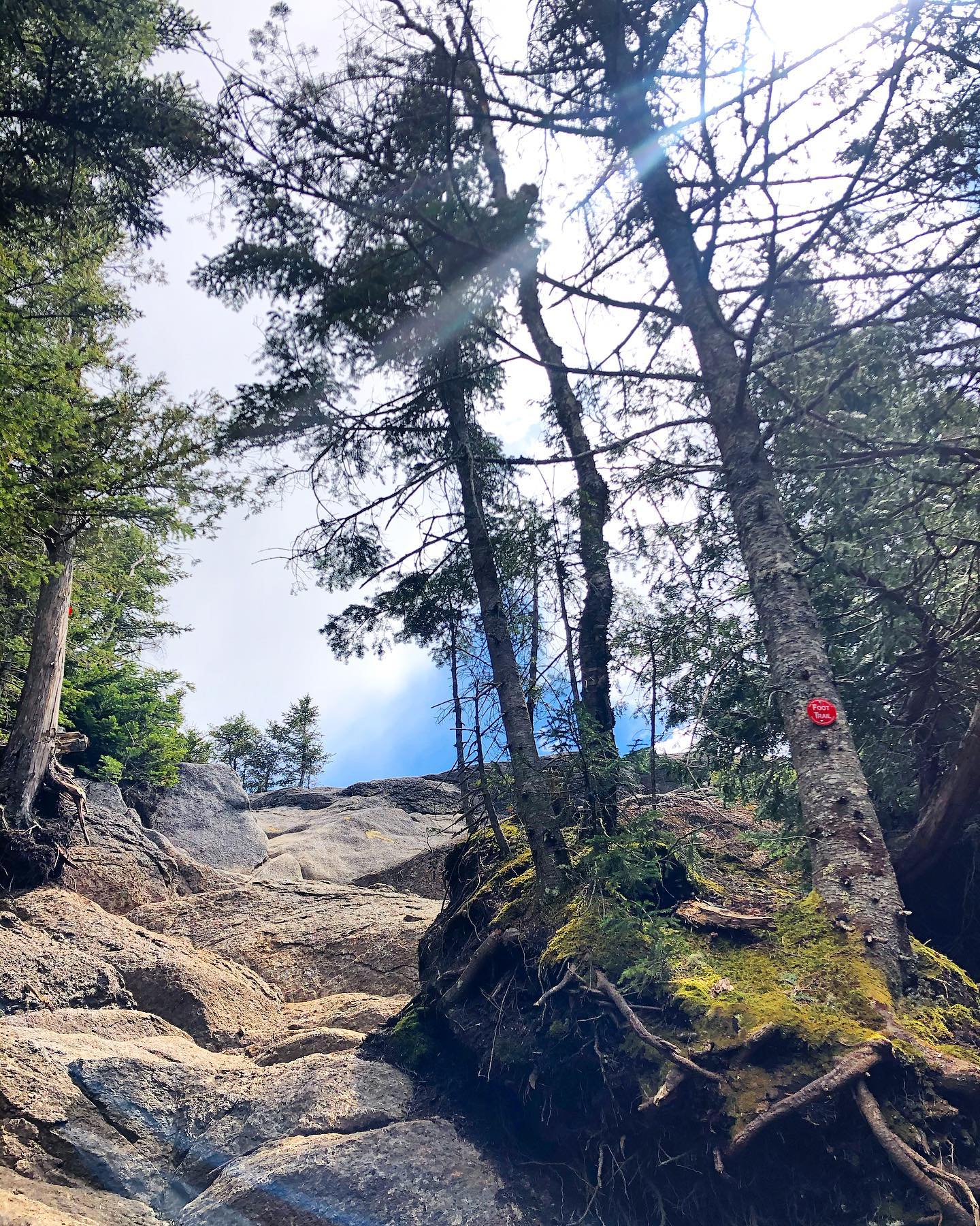 Up and up. Let’s go on a yoga hike!Blueberry Mountain. Sat. 7/24. Details and reservations at: https://www.yogaadirondacks.com/events/boundless-on-blueberry-mountain-moderate