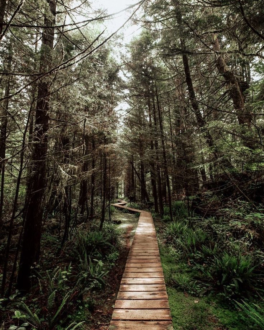 #beautifulbritishcolumbia 🌲 we will be closed for the BC Stat holiday on Monday Feb 21st. Wishing our clients and fellow businesses a wonderful long weekend!