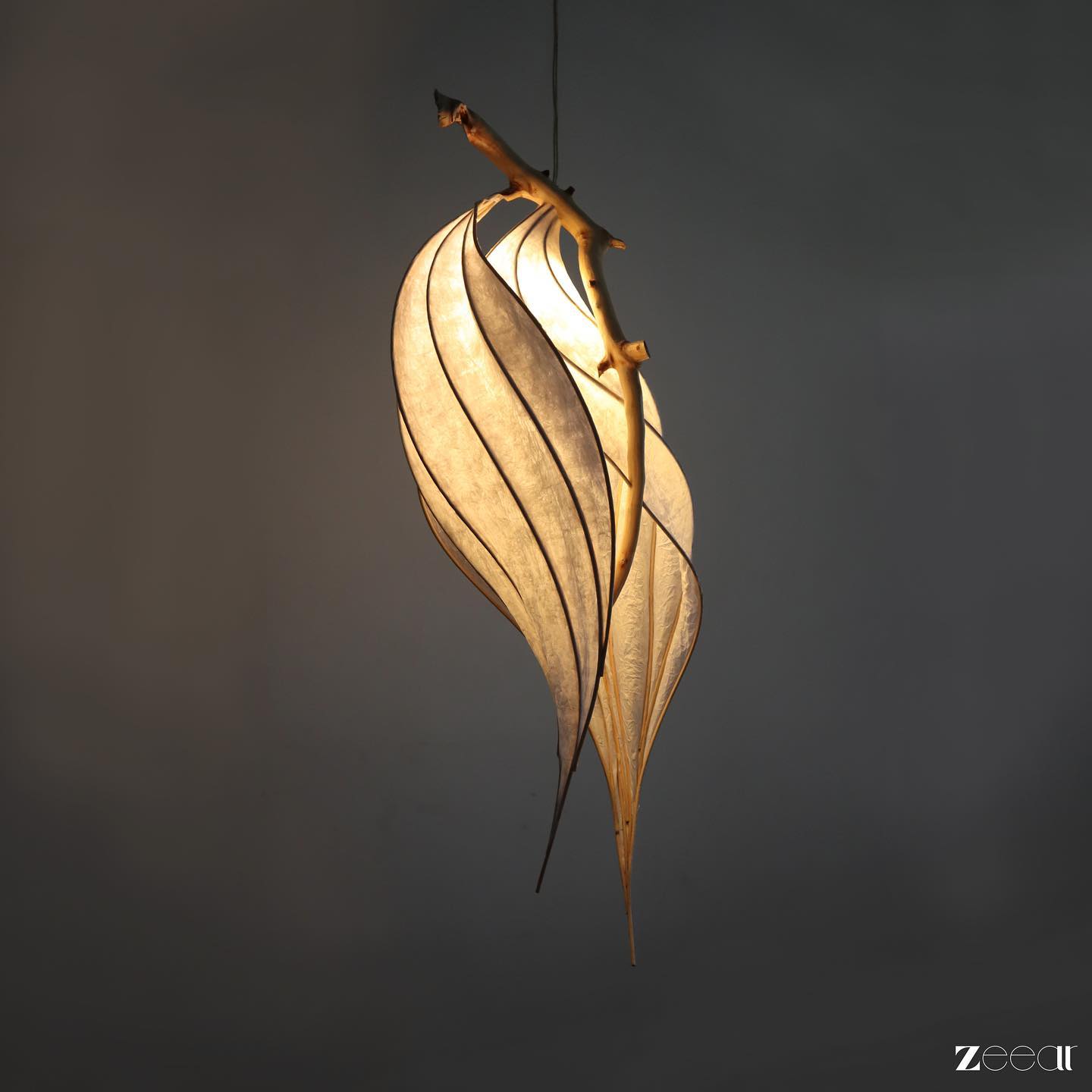 To represent the balance between soft and harsh, created two petals with stings attached to one single piece of wood.
Visit www.zeear.com to experience the realm of sustainable and nature inspired art. đ
#zeear #natureinspired #sustainableart #lamp #lightsculpture #driftwoodsculpture